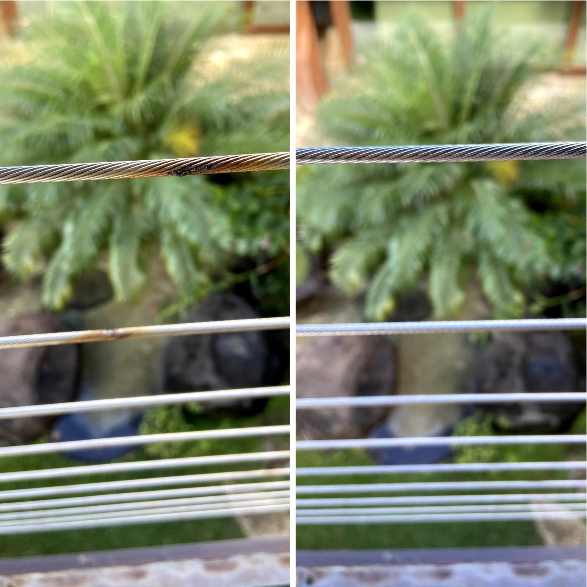 Close-up of metal wire fence with blurred view of green plants and rocks in the background.