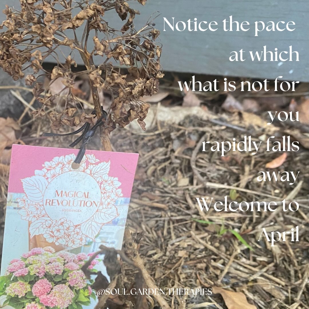 April is a speedy month. 

We might feel the horse begin to gallop. The horse can&rsquo;t hold everything to go at the speed it needs, so it&rsquo;s a time to purge. 

Autumn brings this energy, too. Leaves fall to the ground to be transformed to org