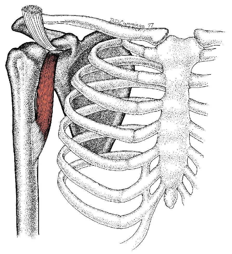 the patient who got gaslit