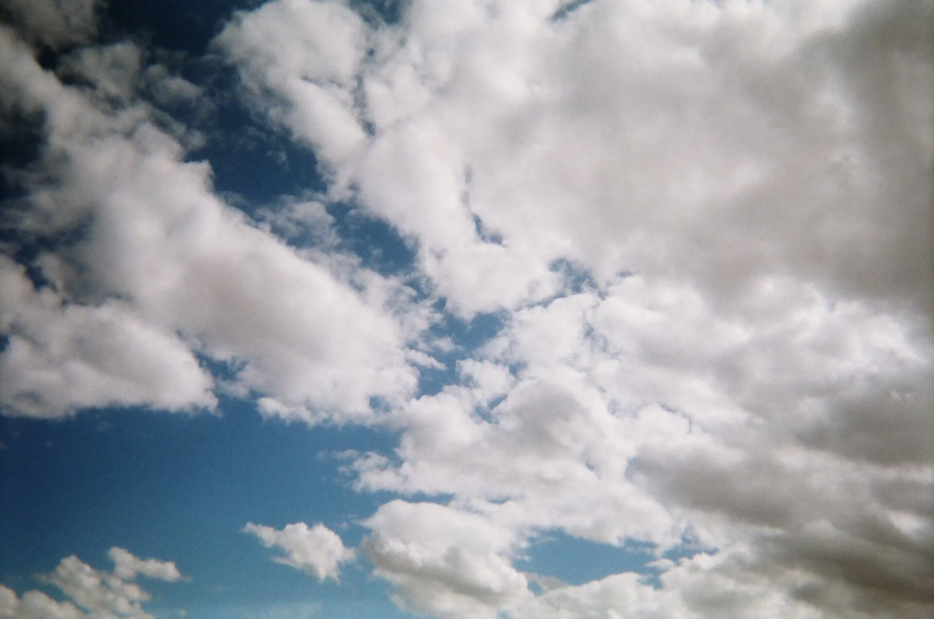 05590016.JPG