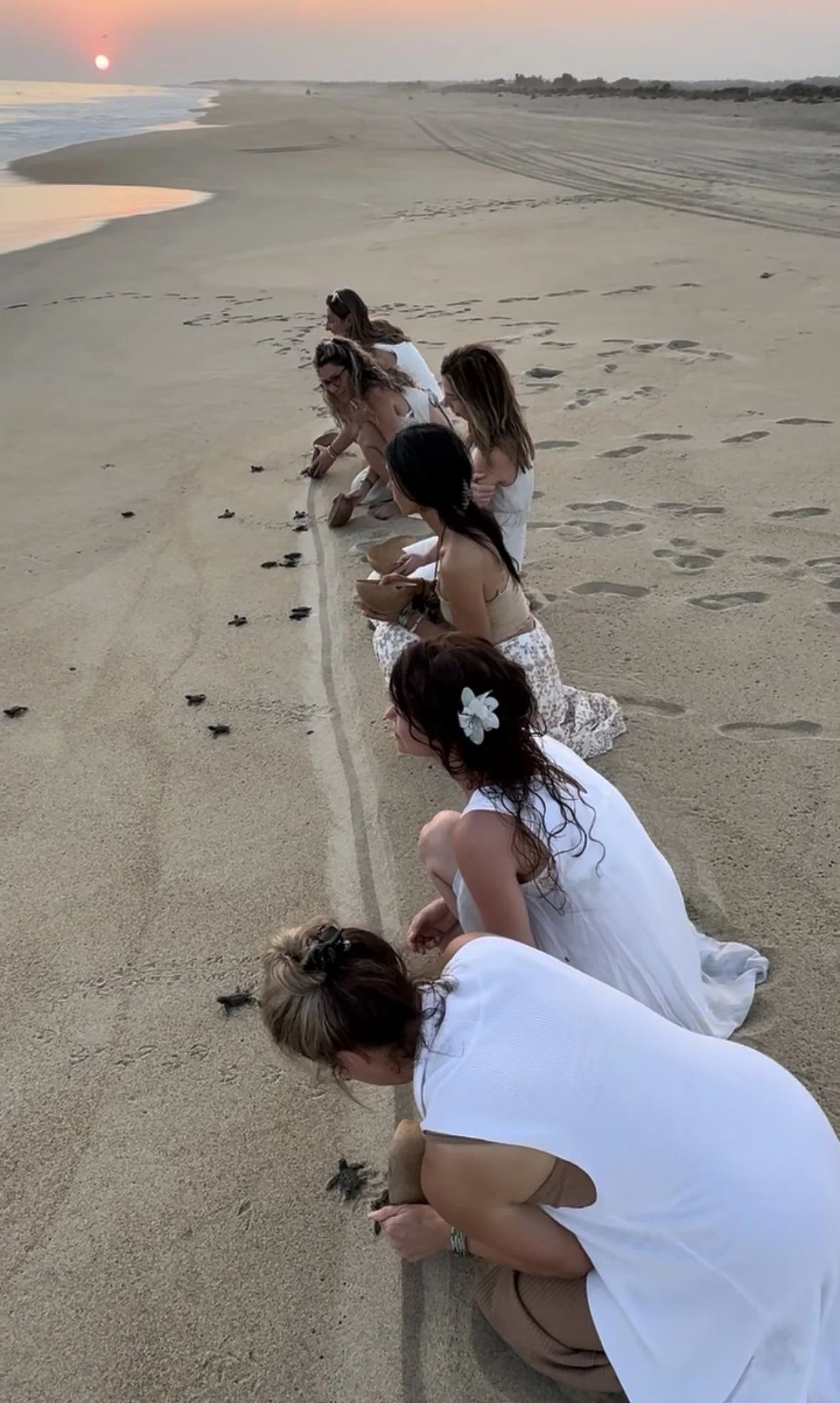 Formation Prêtresse Eau Lémurie -Cat Italienna