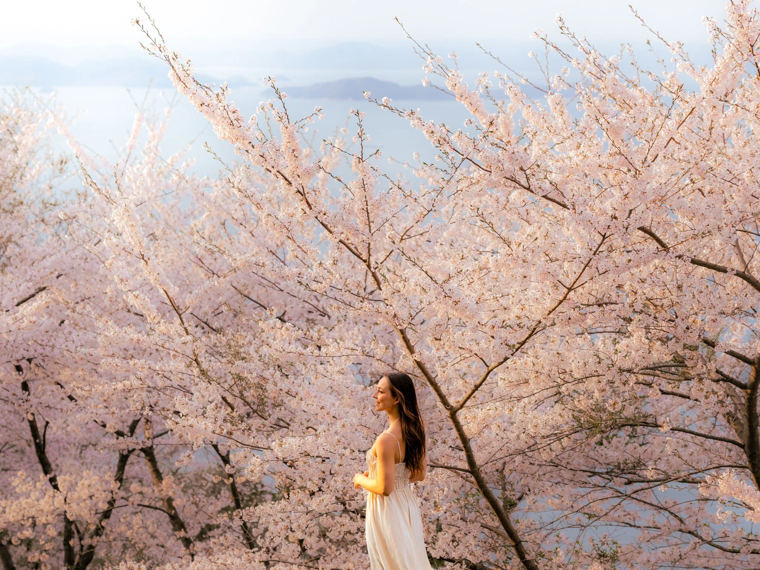 Chau_2025-04-08_0025 3.JPG