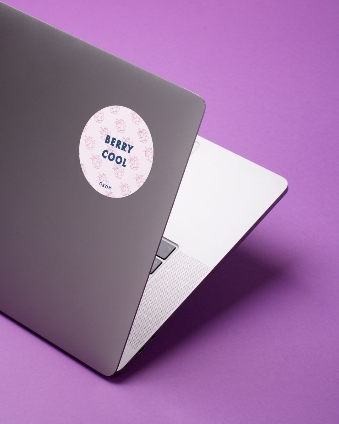 berry cool laptop.png