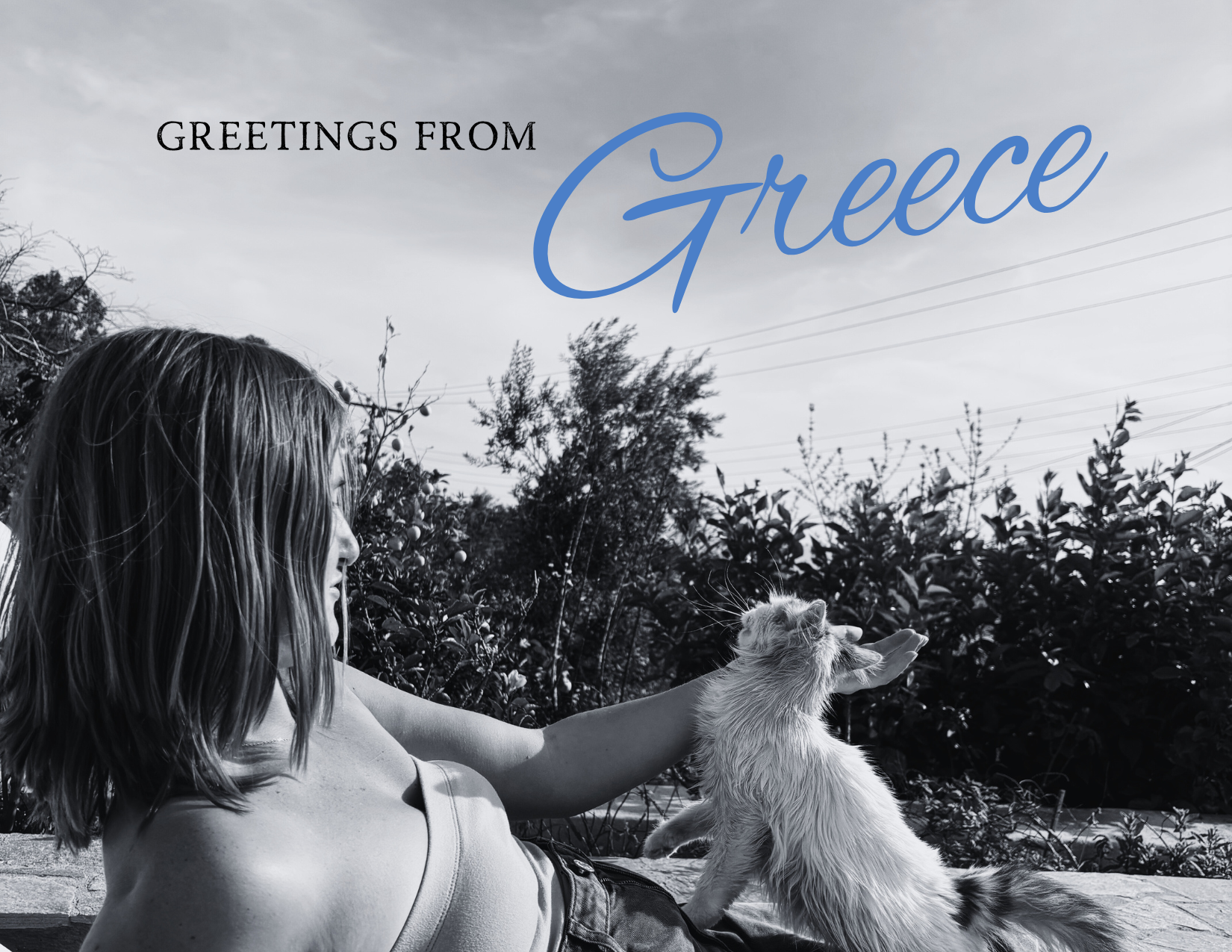 Claire and the cat - front.png