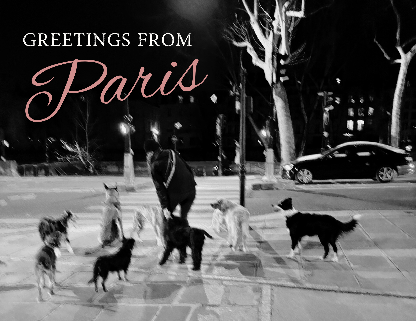 The dog walker - front.png