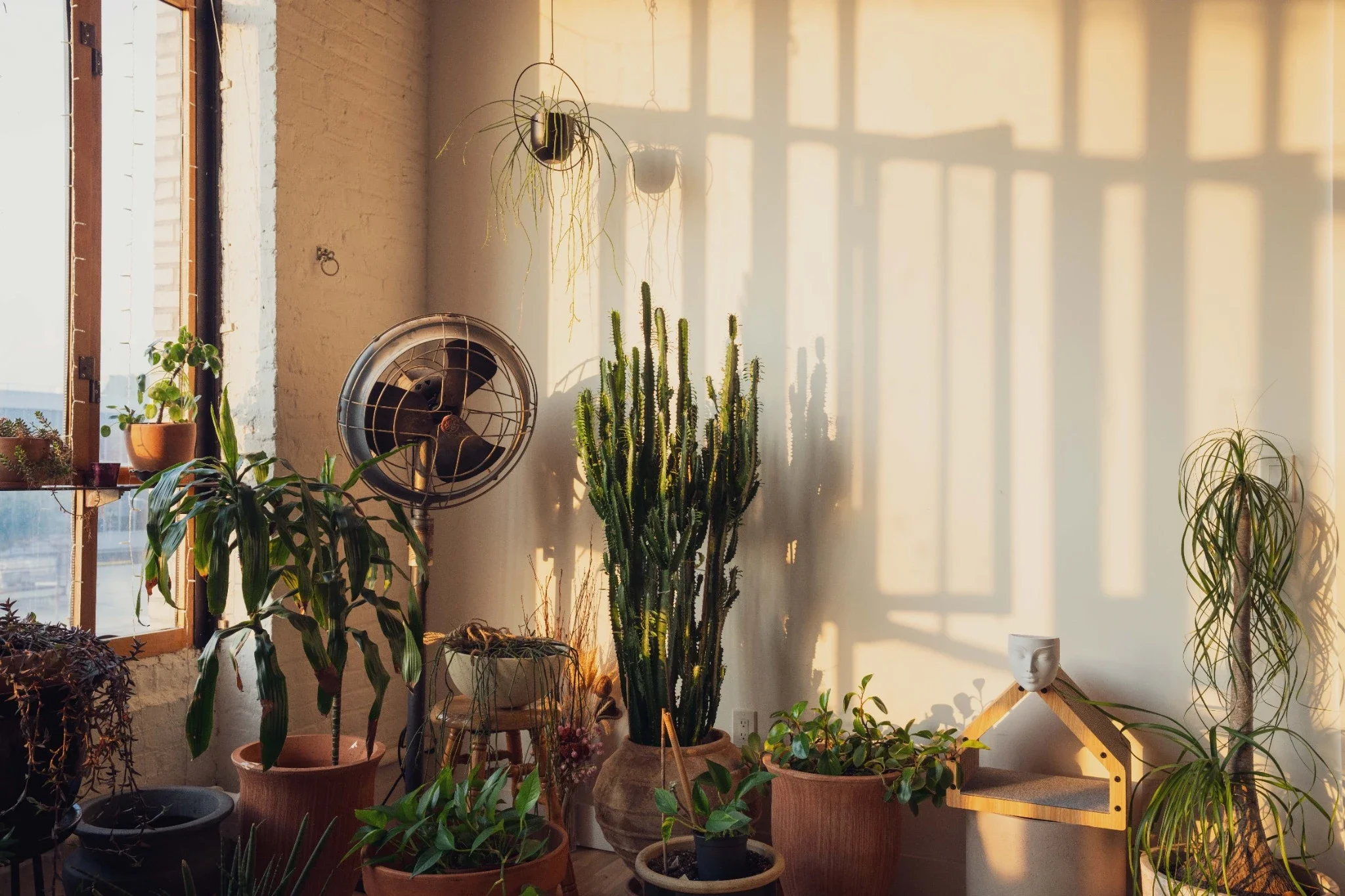 Brooklyn Loft and Kitchen 31D.webp