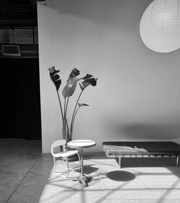 Brooklyn Complex Cafe