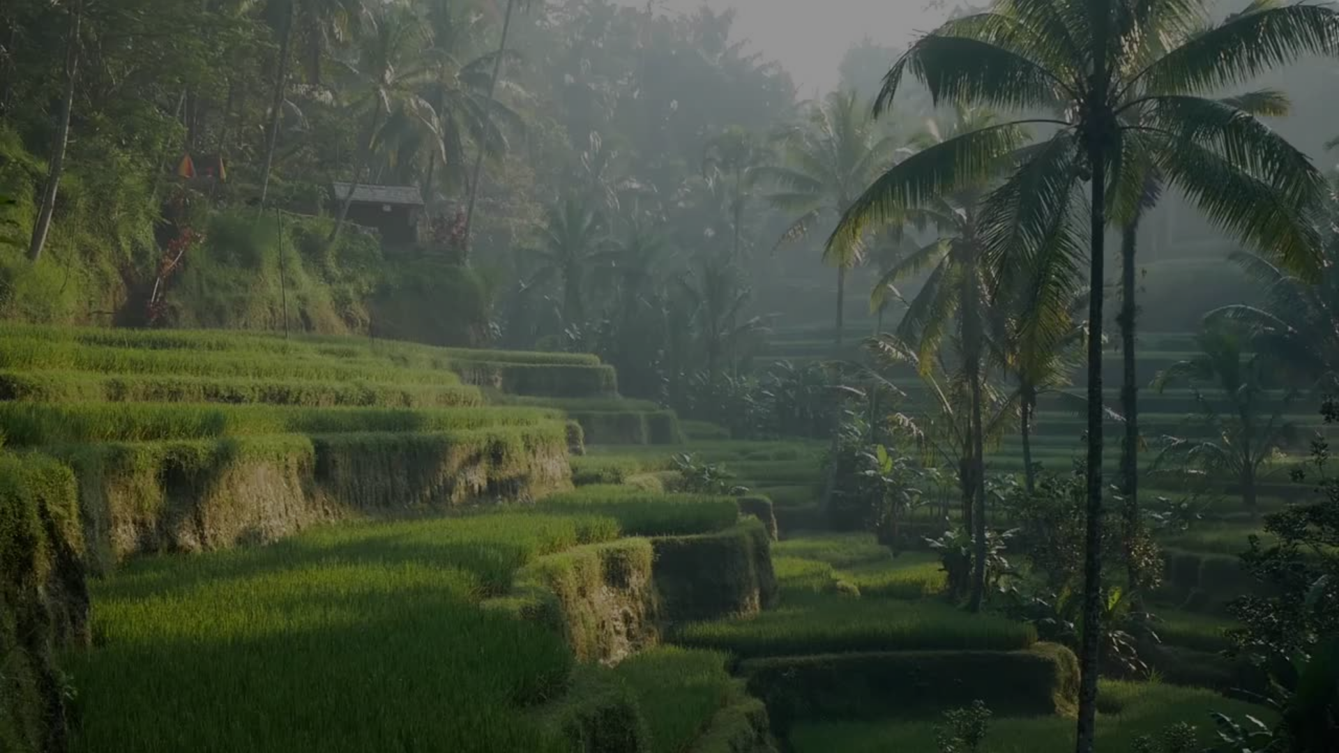 BALI_A GUIDED SOUL (1).png