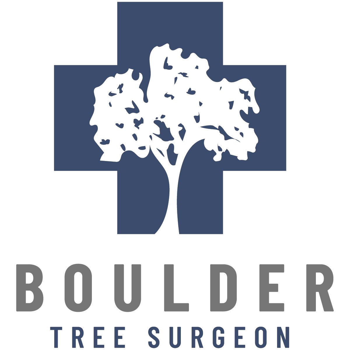 bouldertreesurgeon.com