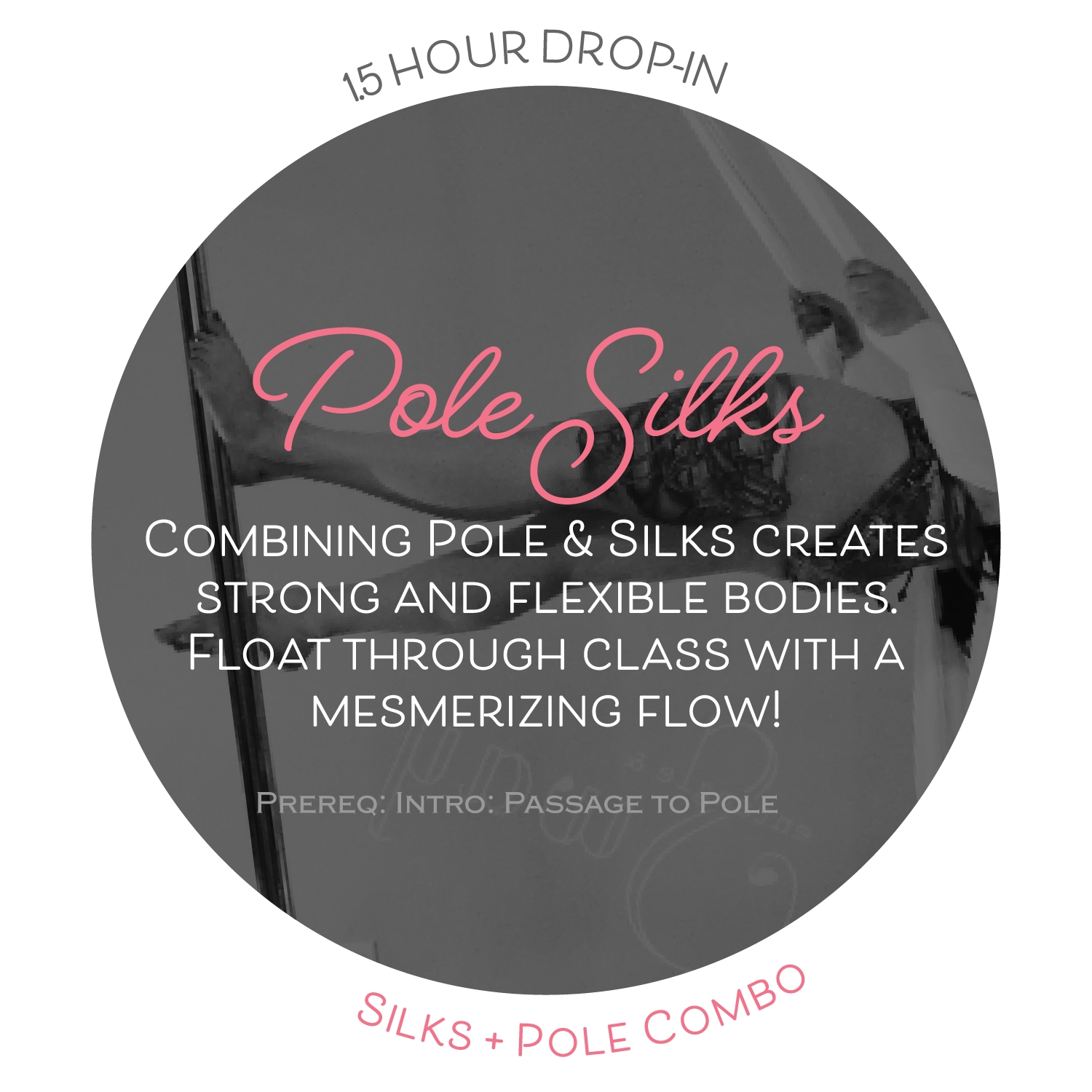 Pole Silks.png
