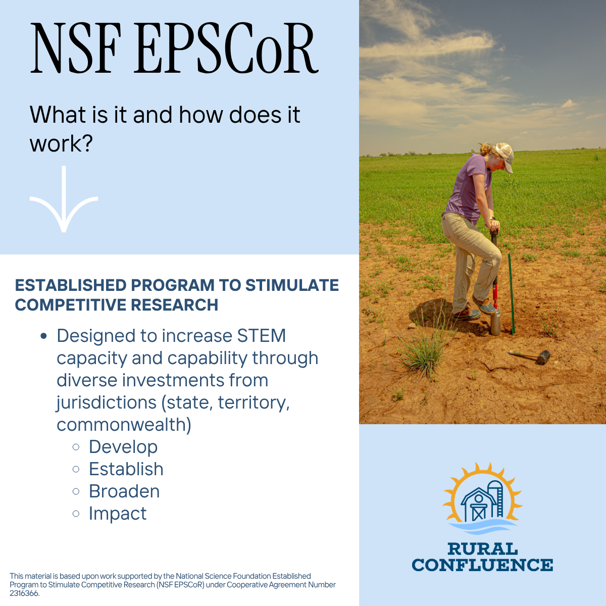 A woman in a purple shirt and beige pants using a soil sampler in a field of young crops under a partly cloudy sky, with a logo of a barn, sun, and water at the bottom right corner. The left side contains text about NSF EPSCoR and its program to stim