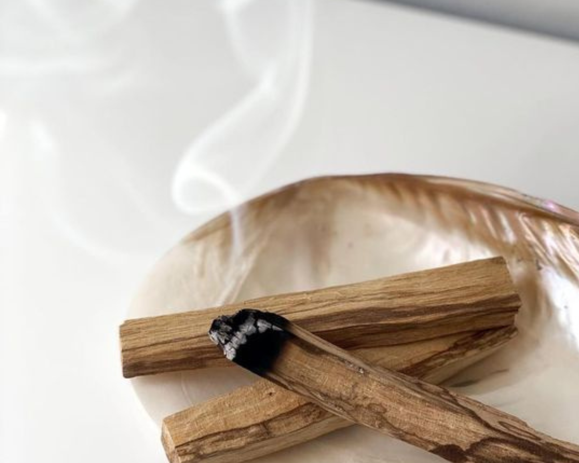 burning palo Santo in a pearlescent shell dish