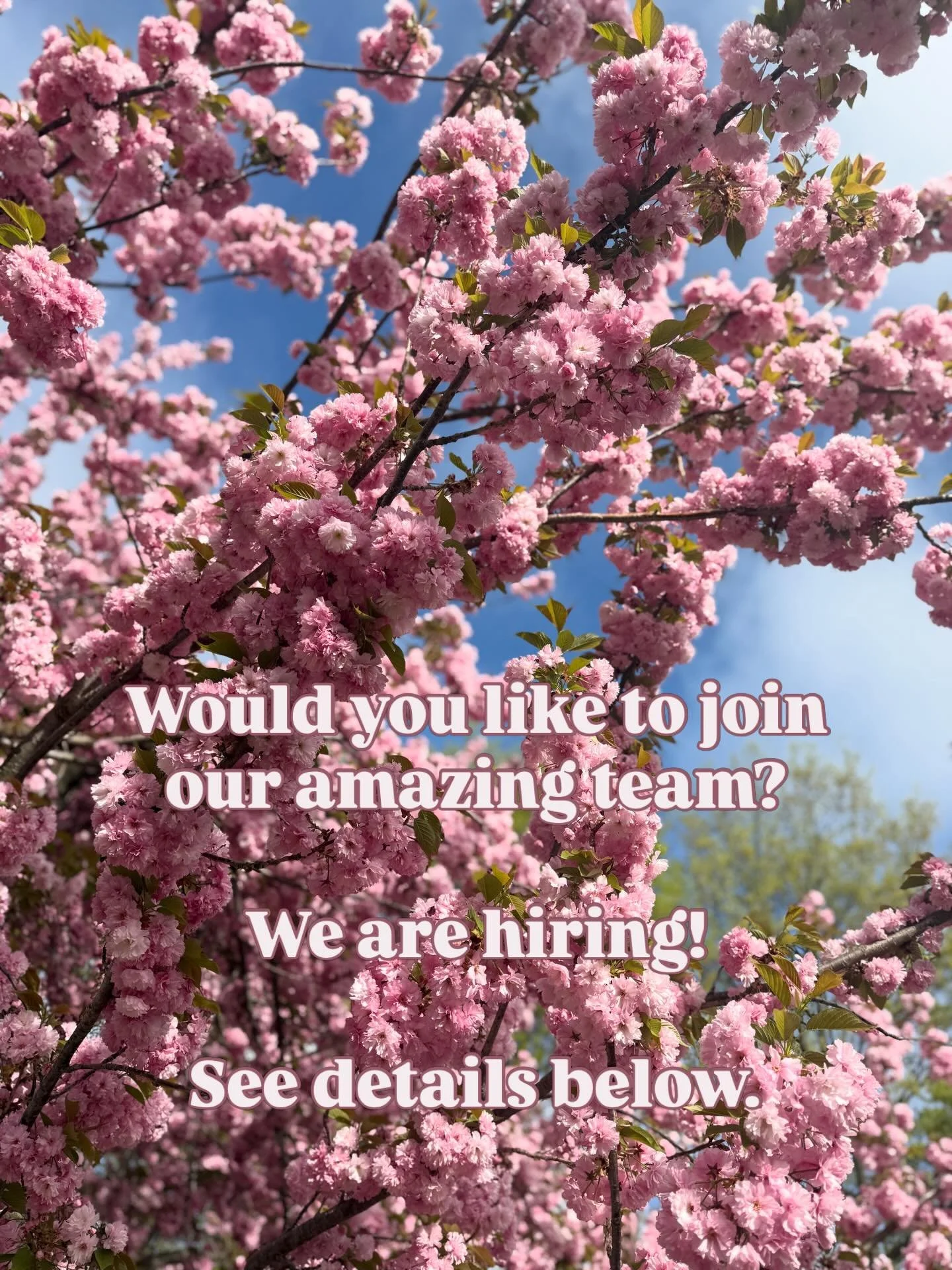 ✨ WE&rsquo;RE HIRING / Part-Time Admin Assistant ✨ 

We&rsquo;re a small, warm women&rsquo;s health clinic in Brooklyn looking for a detail-oriented Admin Assistant to join our team part-time. If you love keeping things organized and genuinely care a