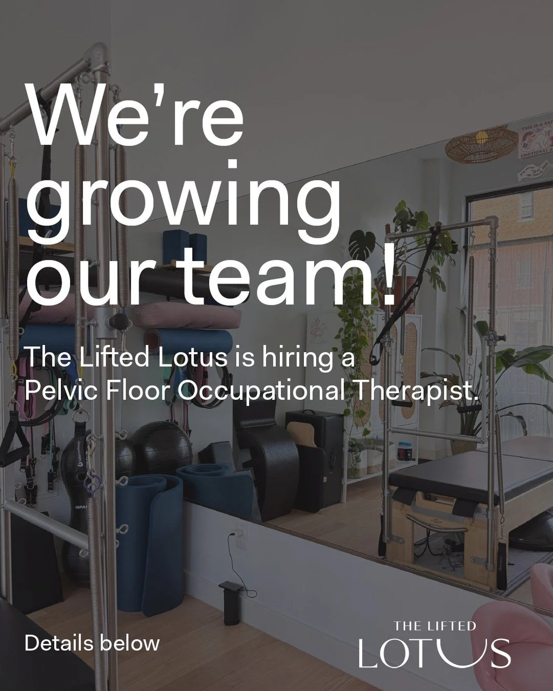 We're Growing Our Team! 🌸 We are hiring a Pelvic Floor Occupational Therapist.

Are you compassionate, creative, and enthusiastic about pelvic health? Do you thrive in a small, intimate team environment focused on personalized, holistic care? If so,