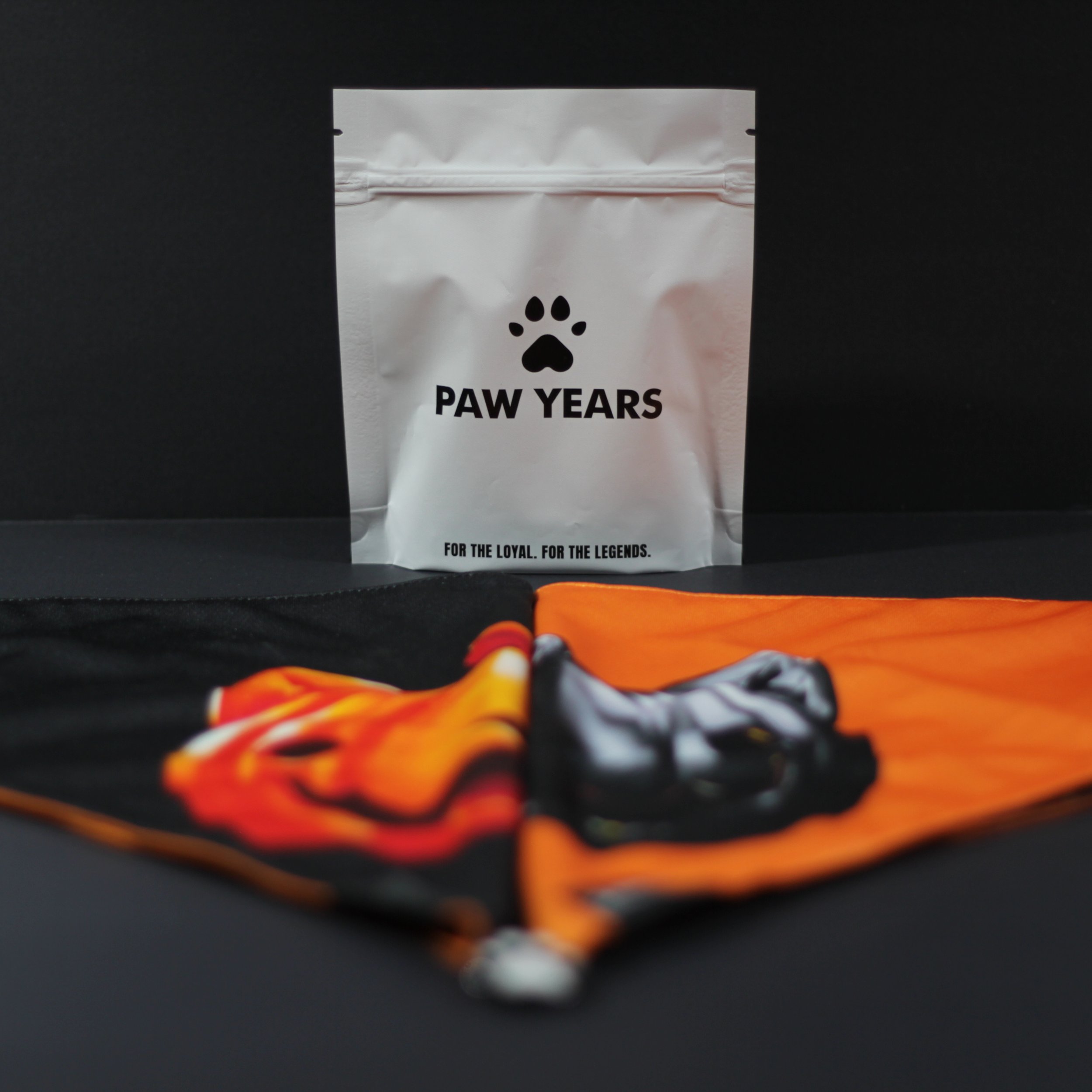 Paw Years white packaging bag displayed behind limited edition reversible Salem Halloween bandanas.