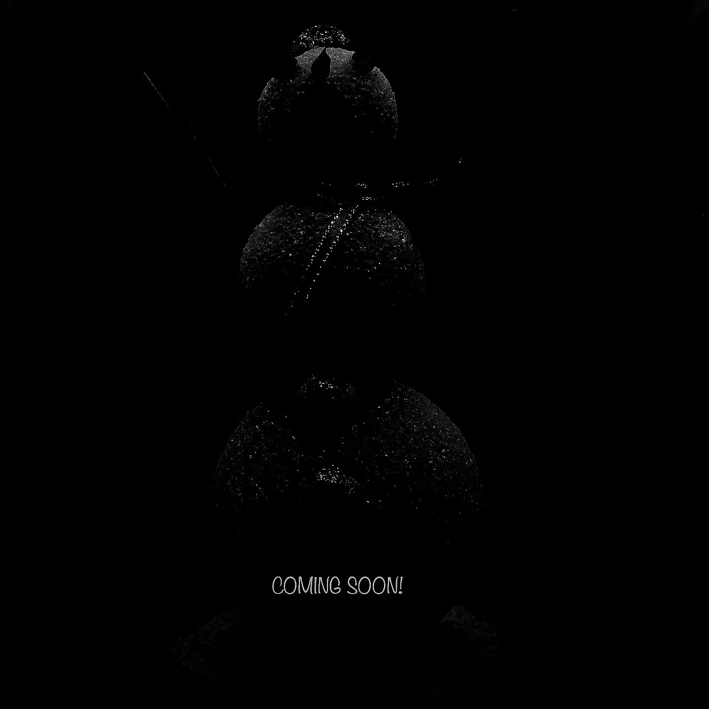 A glimpse at Paw Years upcoming holiday collection! Coming soon!