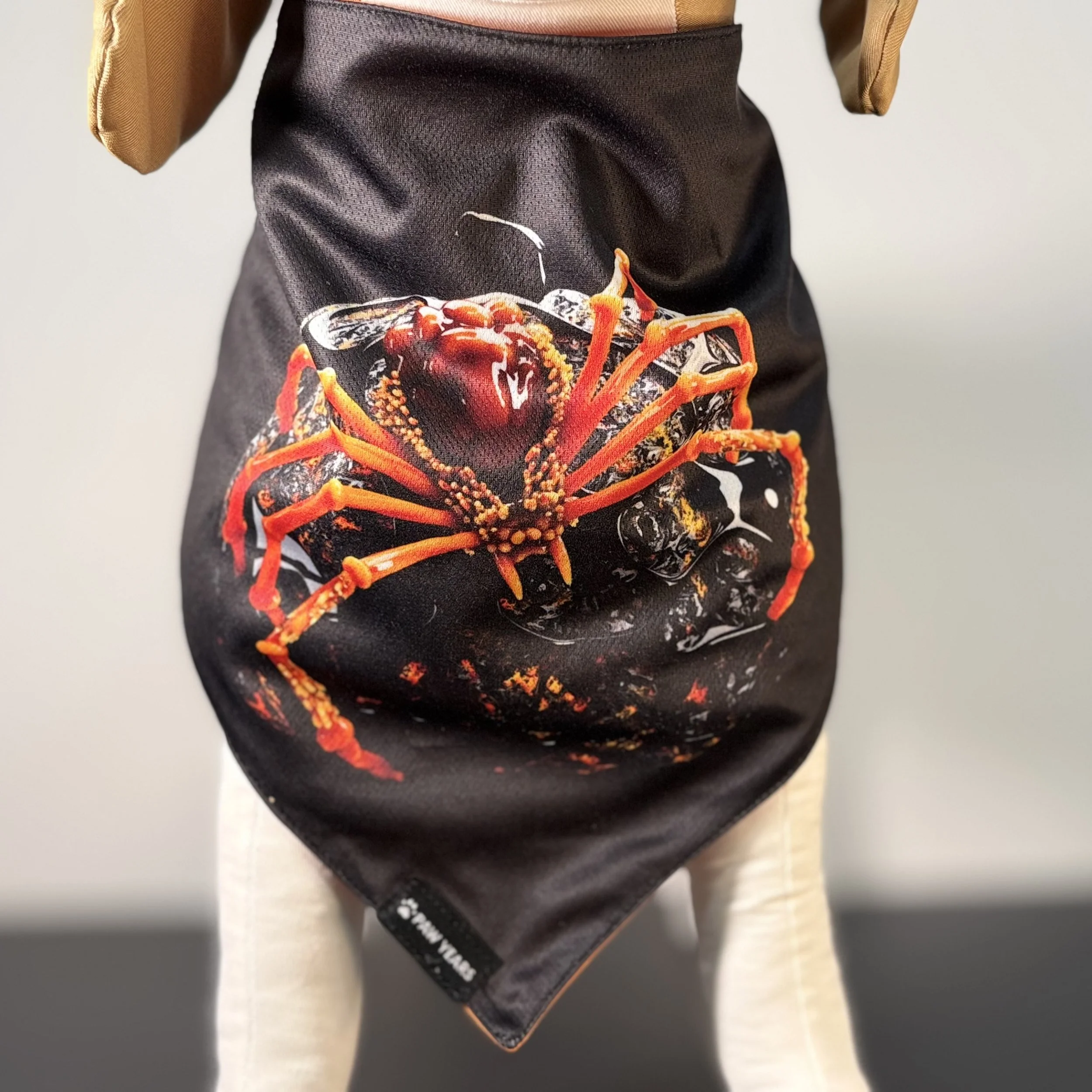 Front view of small dog mannequin wearing black Banshee bandana showing realistic red spider graphic.