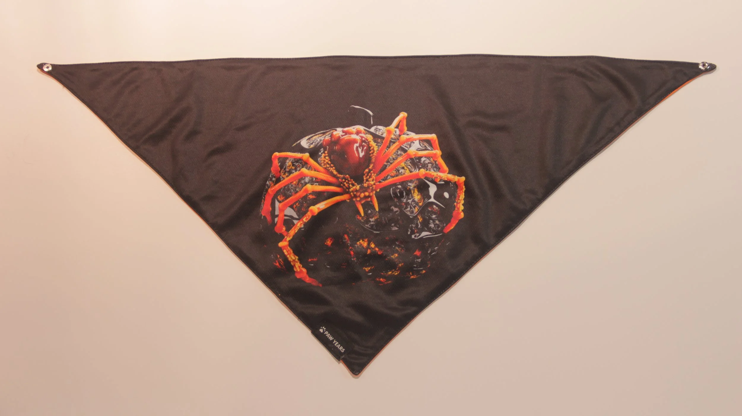 Flat lay of black Halloween bandana featuring vivid red spider art on white background.