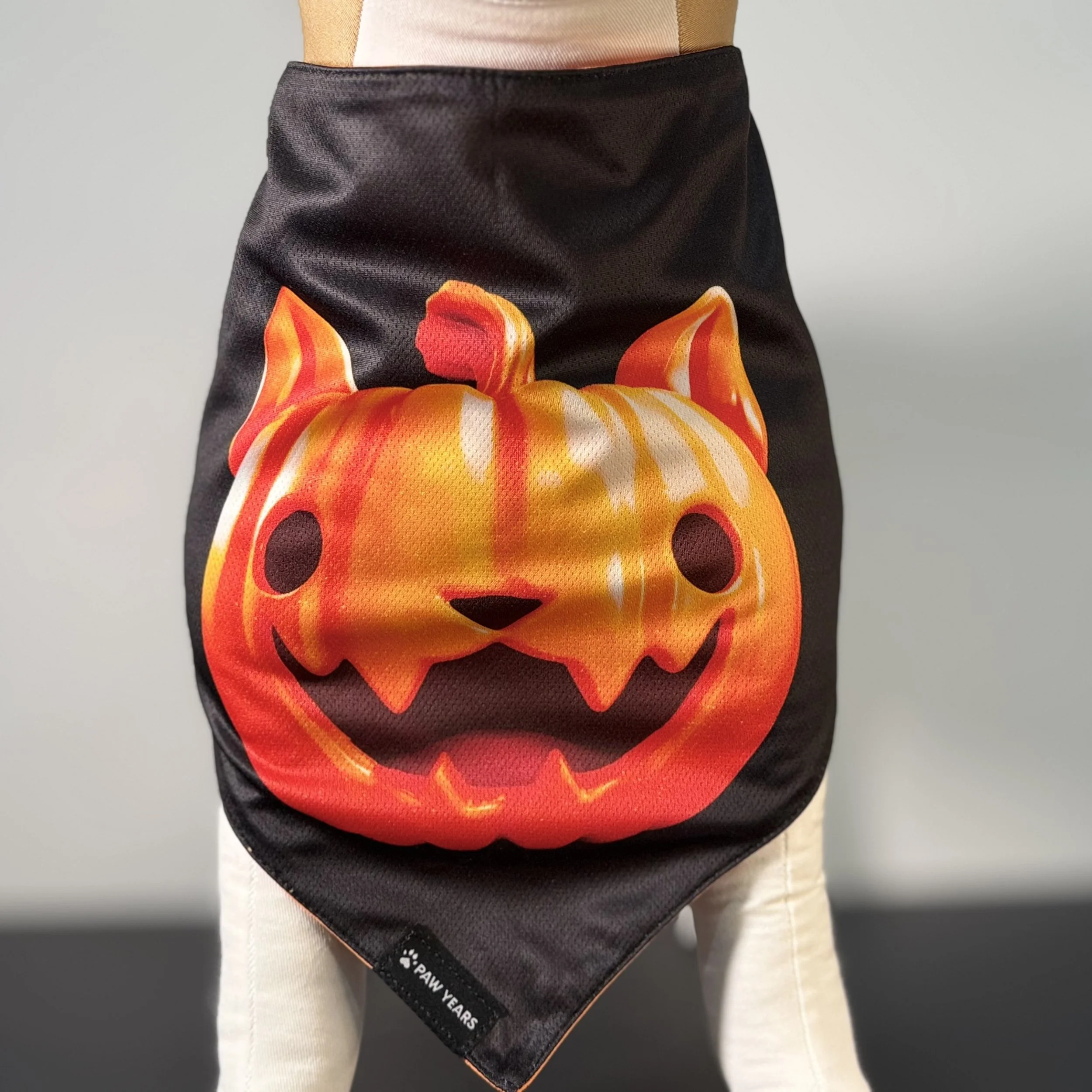 Alt Text: Close up of small dog wearing black Halloween bandana showing secure snap fit.