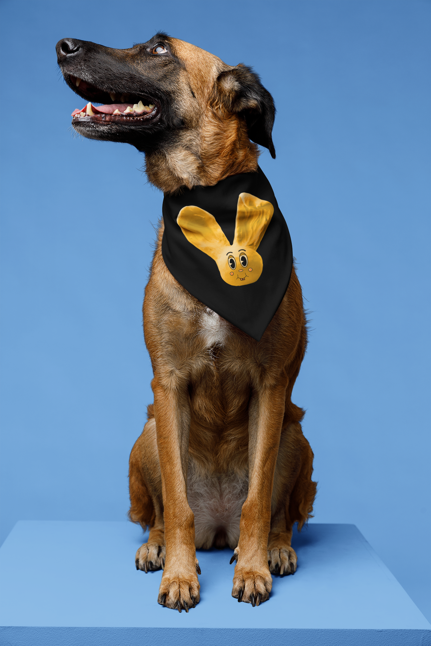 Sunny Bun pet bandana on a dog sitting down, front view, featuring a bright yellow bunny with blushing cheeks on a black bandana.