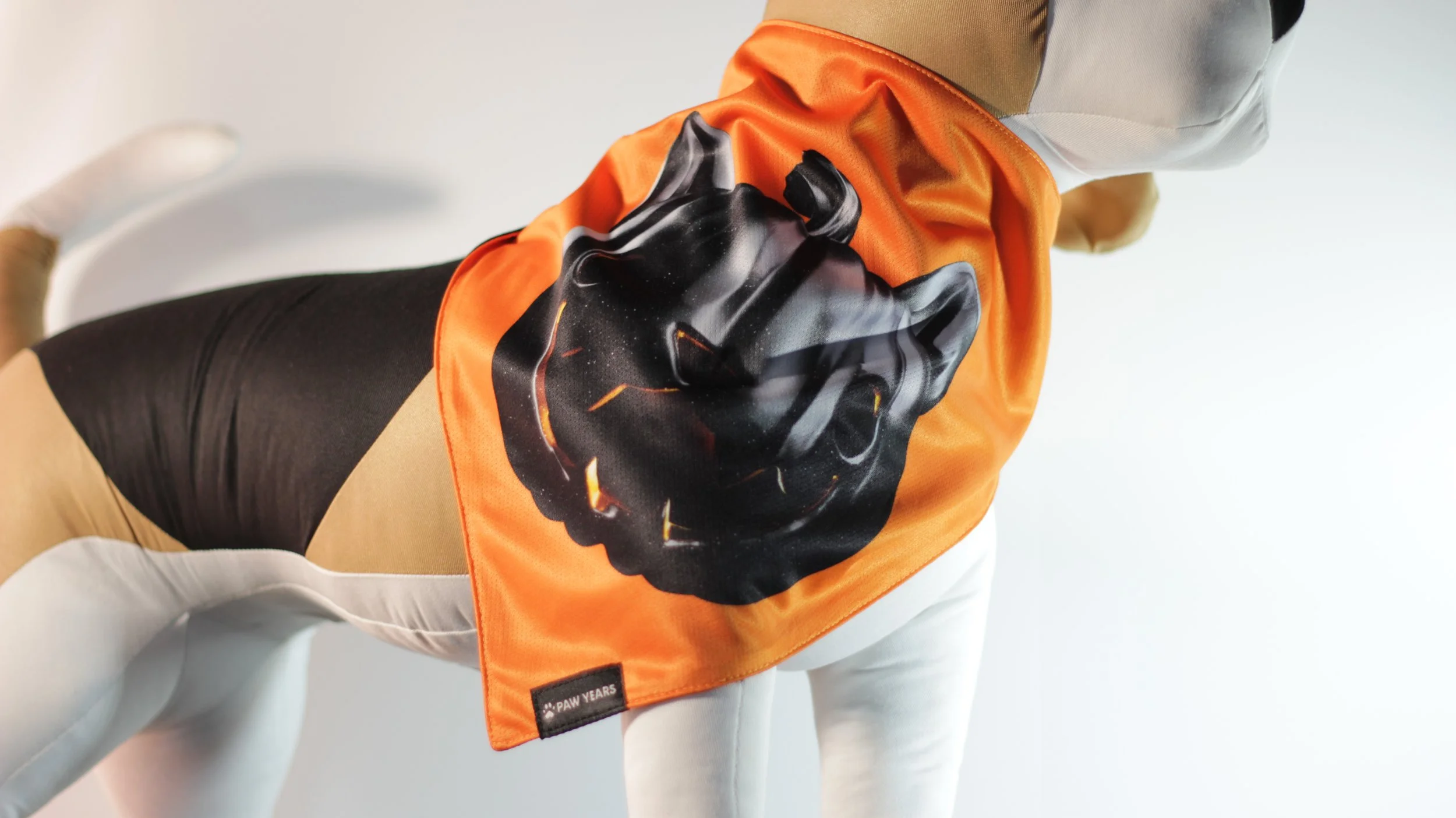 Small dog mannequin wearing the orange side of the Salem bandana featuring a dark black pumpkin cat face.