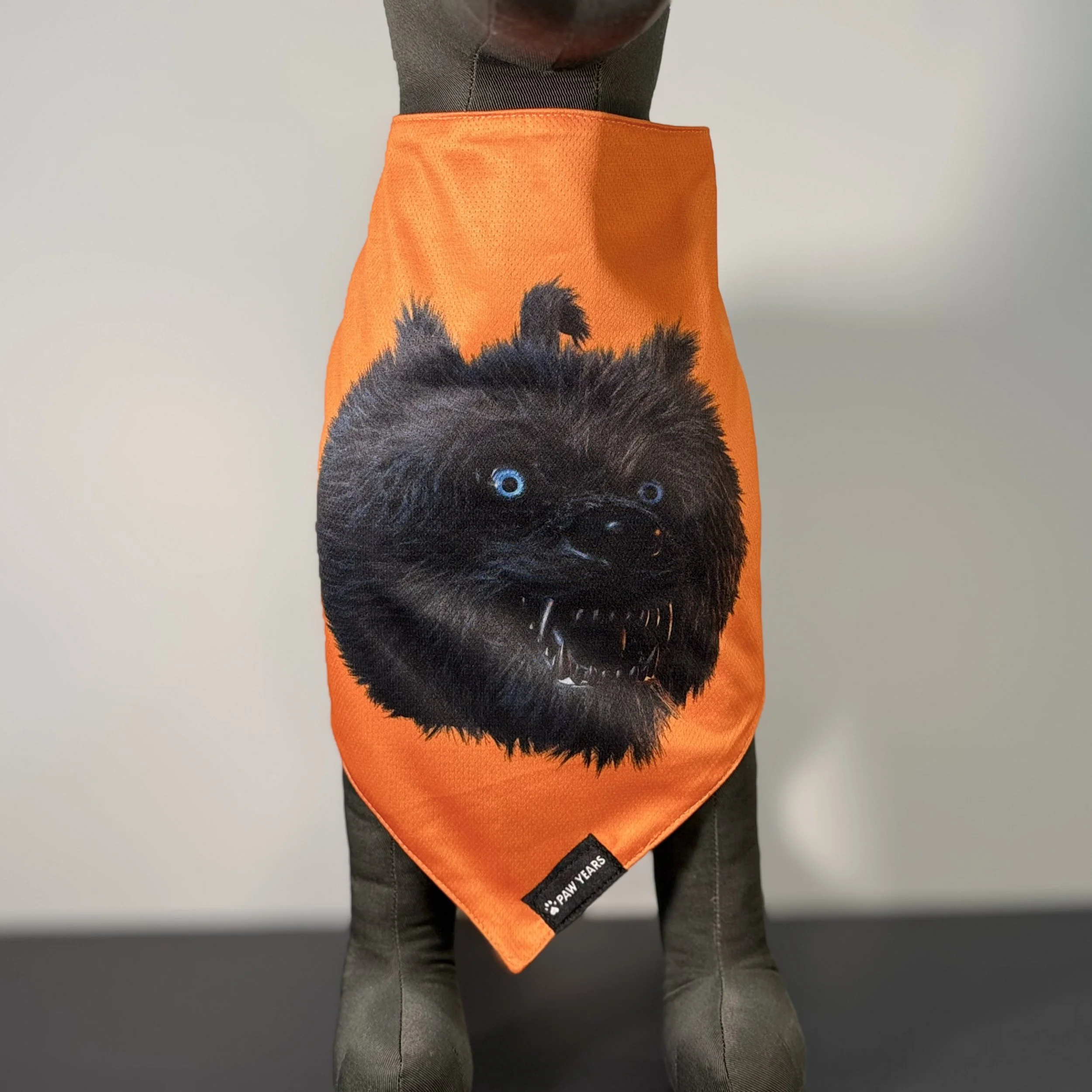 Front view of dog mannequin wearing orange Lycan bandana featuring Orion black wolf art.
