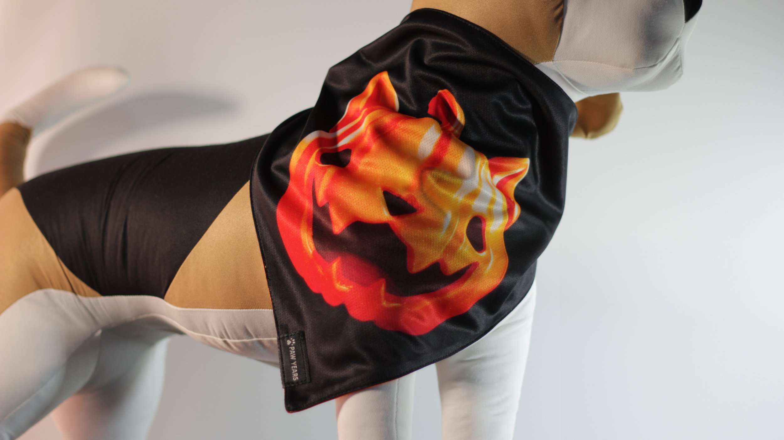 Small dog mannequin wearing the black side of the Salem bandana featuring a glowing orange pumpkin cat face.