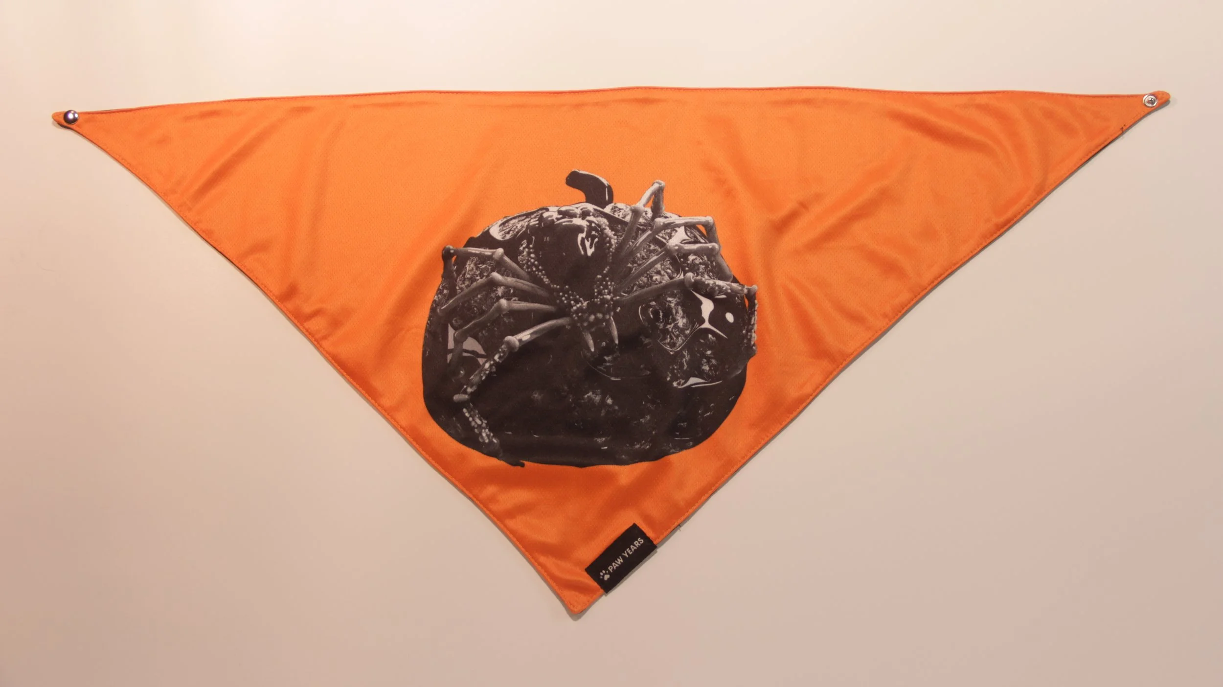 Flat lay of orange Halloween bandana featuring black spider silhouette on white background.
