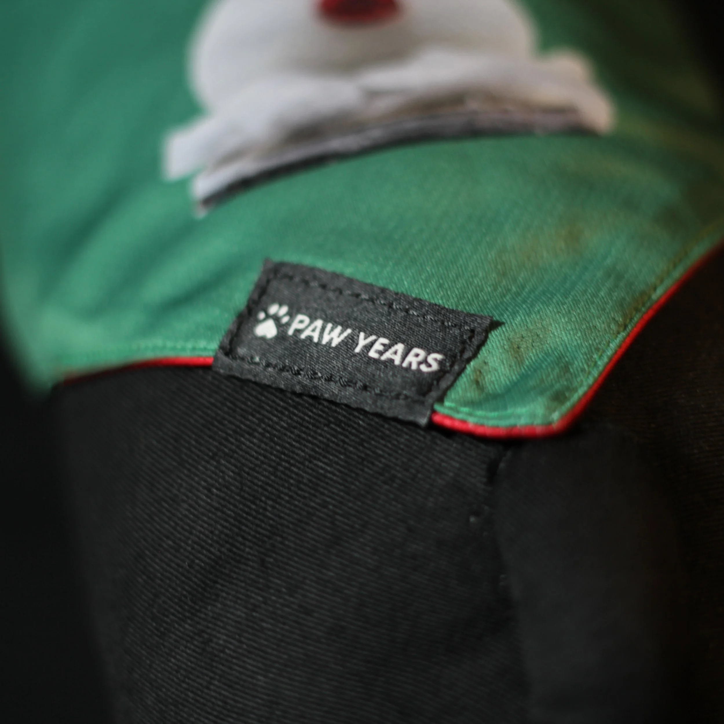 Close up detail of Paw Years woven logo tag on green premium pet gear.
