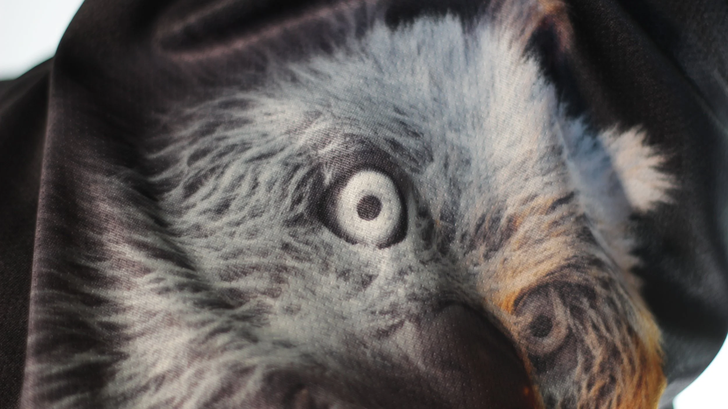 Macro texture detail of pale eye on white wolf graphic on black mesh fabric.