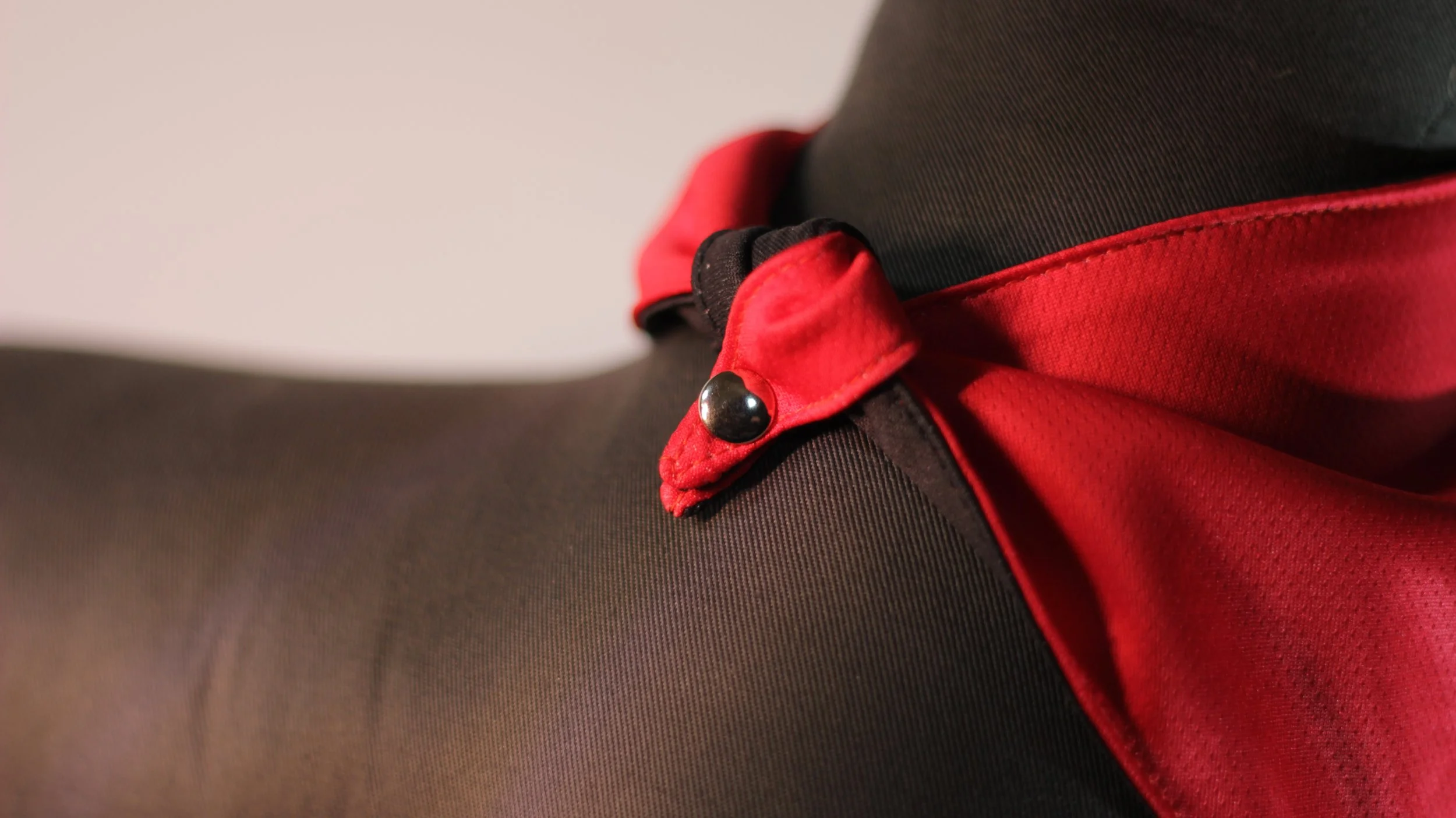 Macro close up of reinforced snap button closure on red limited edition pet bandana showing secure tie-free fit.