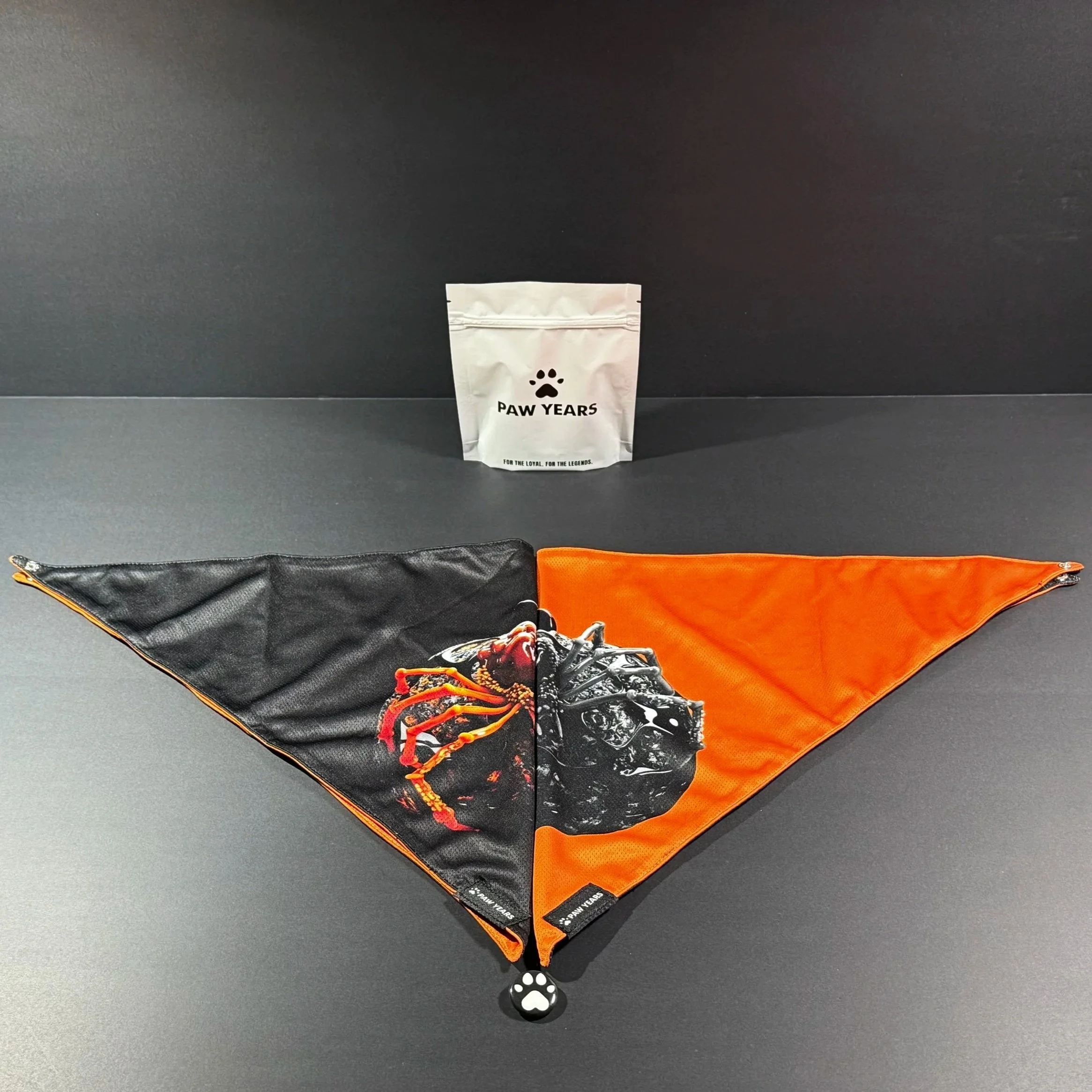 Wide flat lay of Banshee reversible bandana set showing both spider designs with Paw Years packaging.