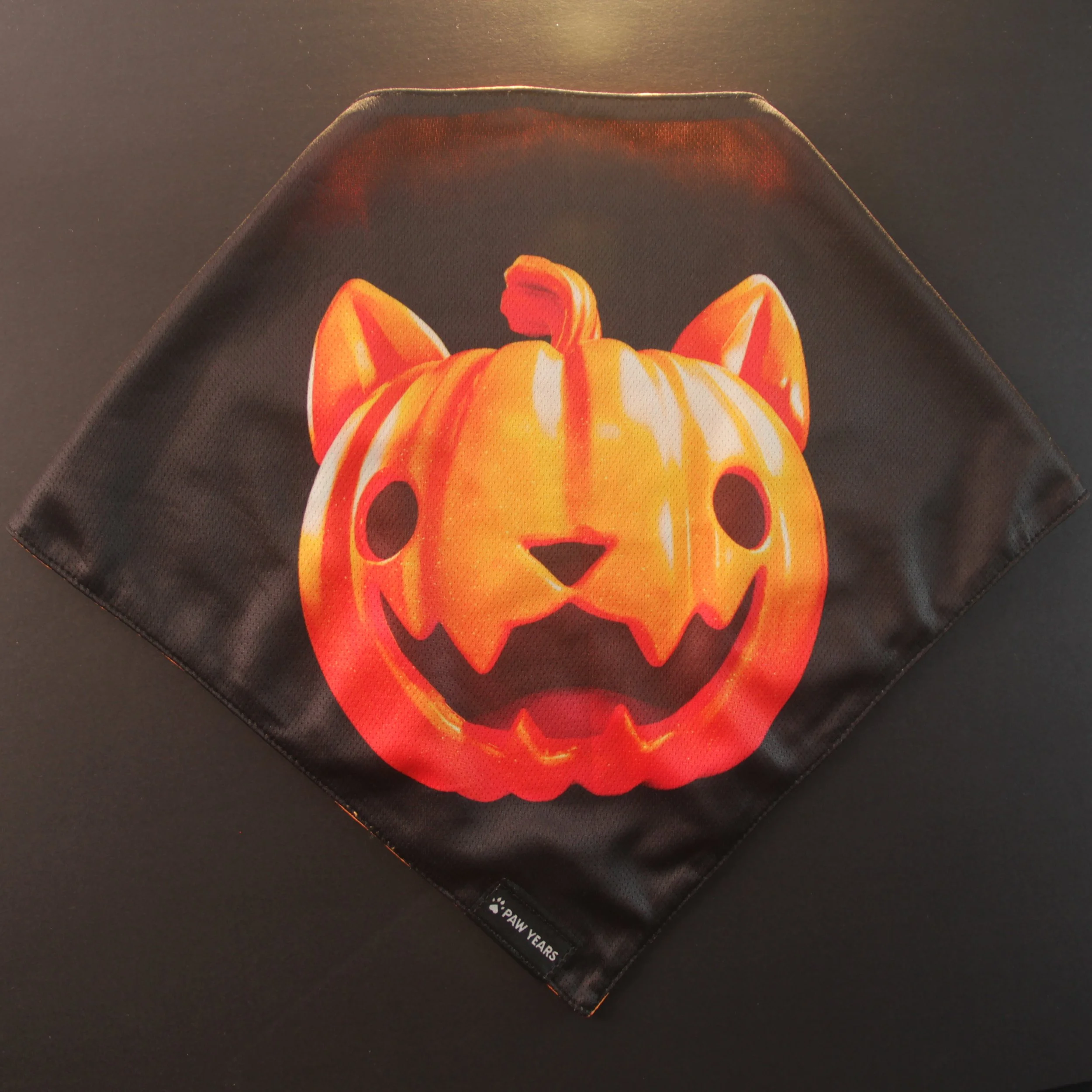 Salem | Reversible bandana