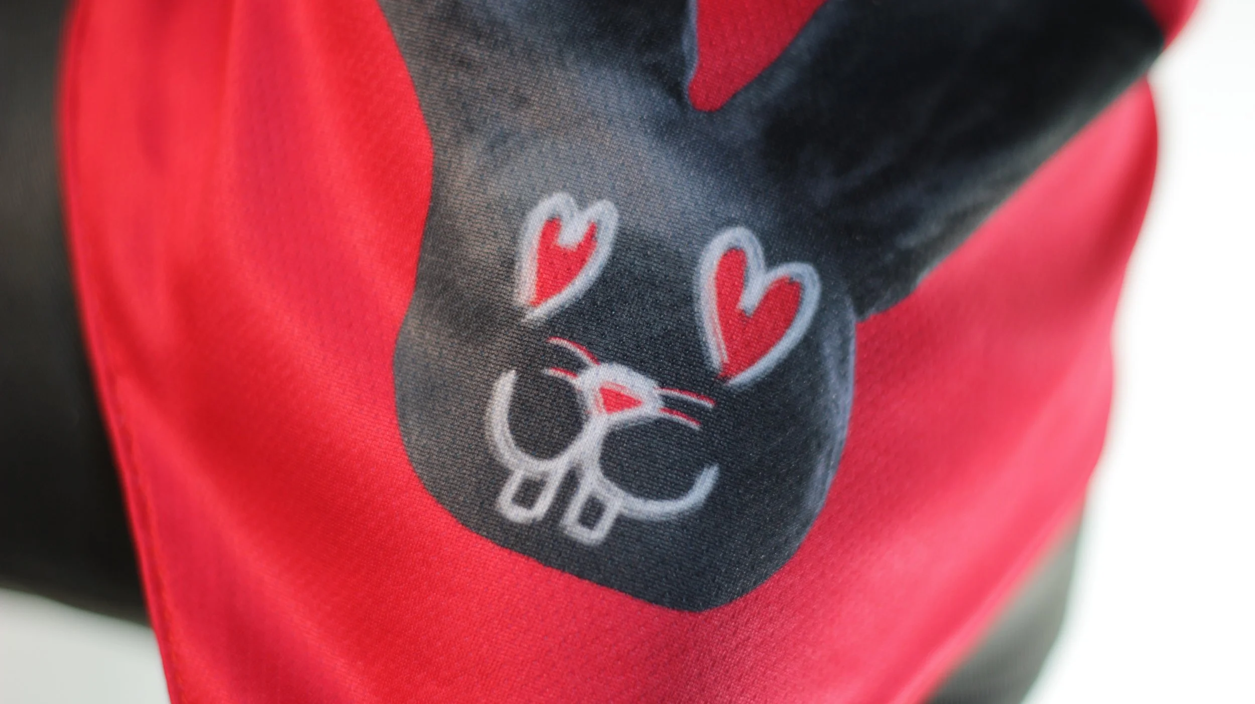 Close up detail of the Lovestruck black bunny with heart eyes on red mesh fabric.