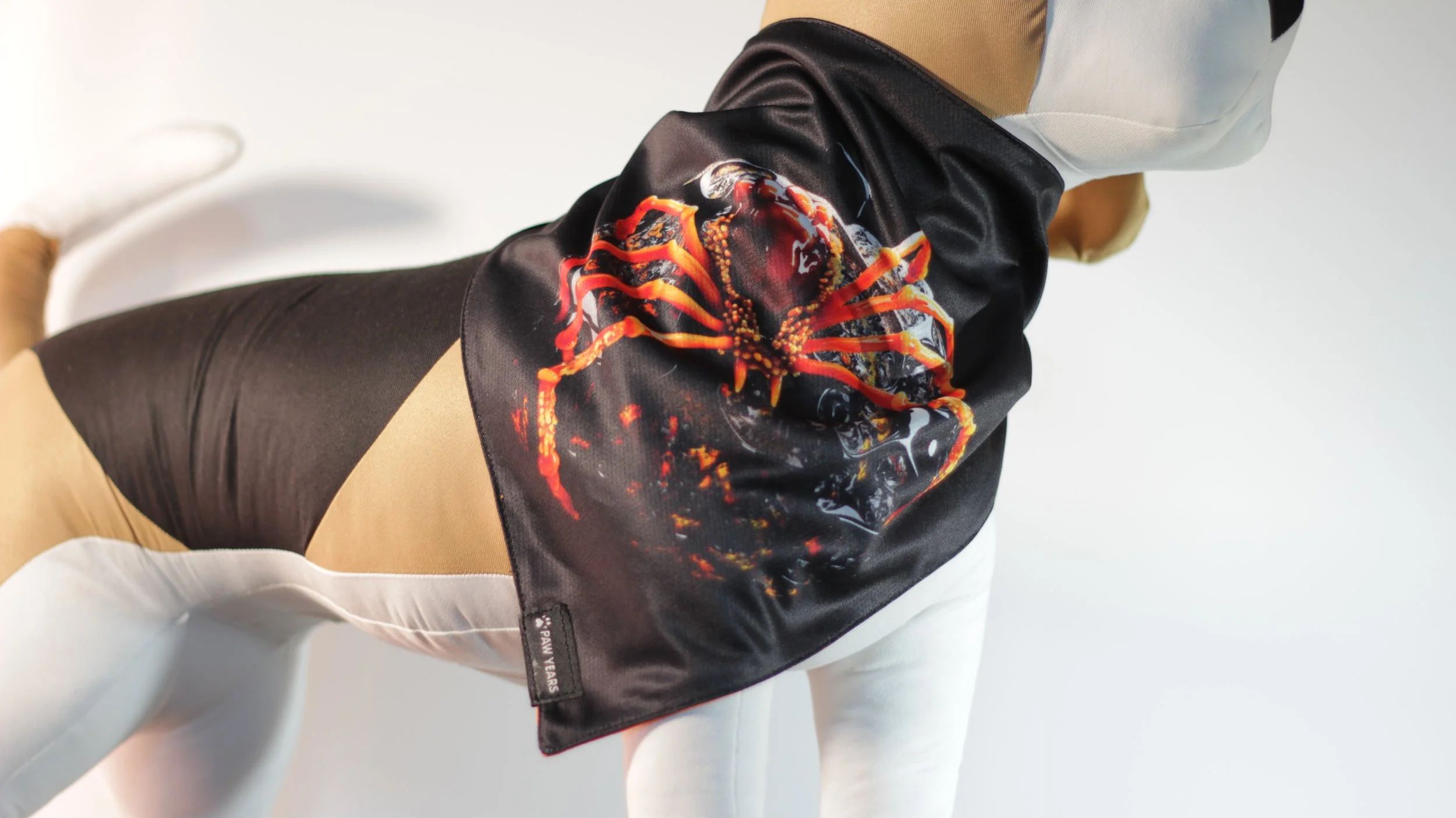 Side profile of small dog mannequin wearing the black side of the Banshee spider bandana.