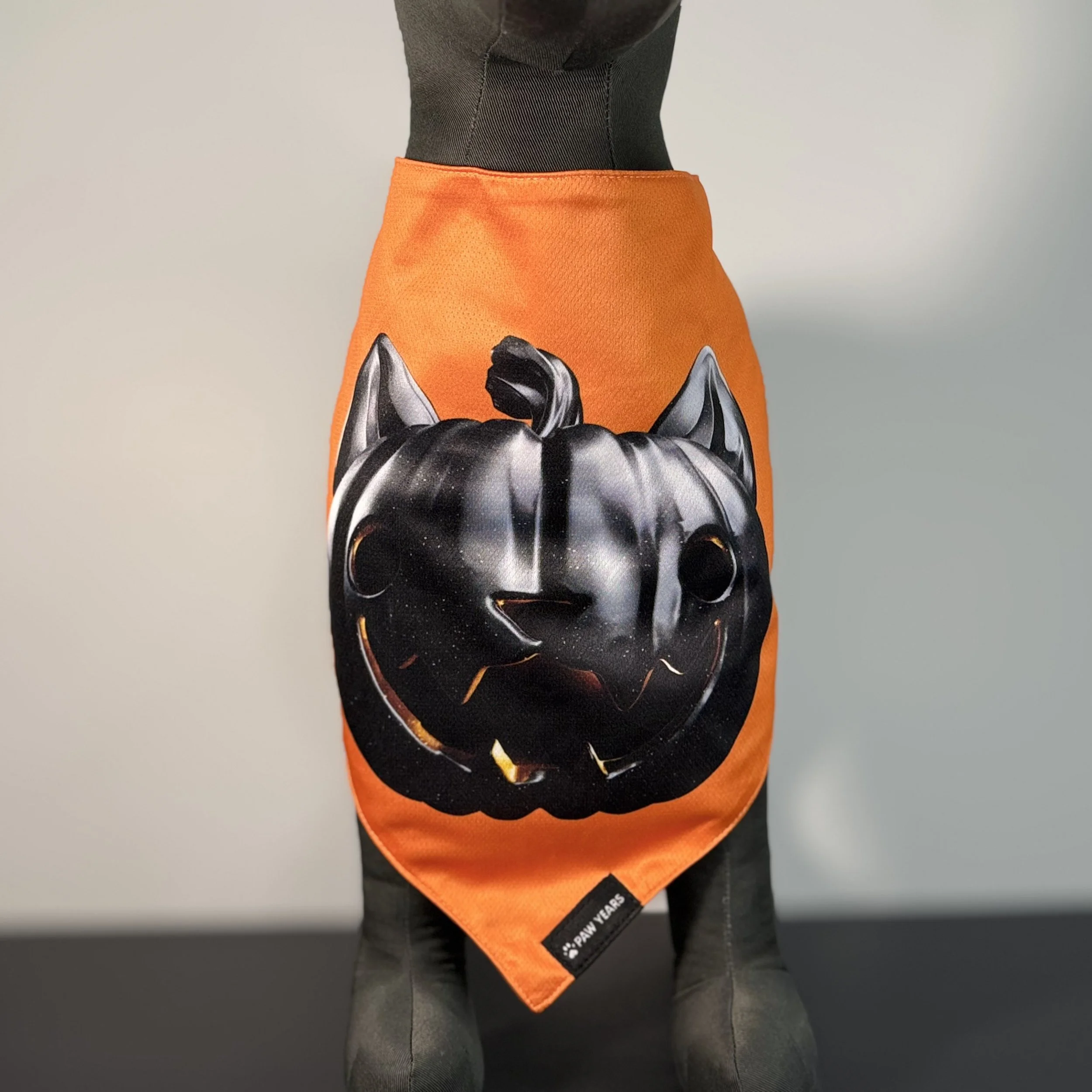 Front view of small dog wearing the orange side of the Salem bandana featuring a black cat-o-lantern face.