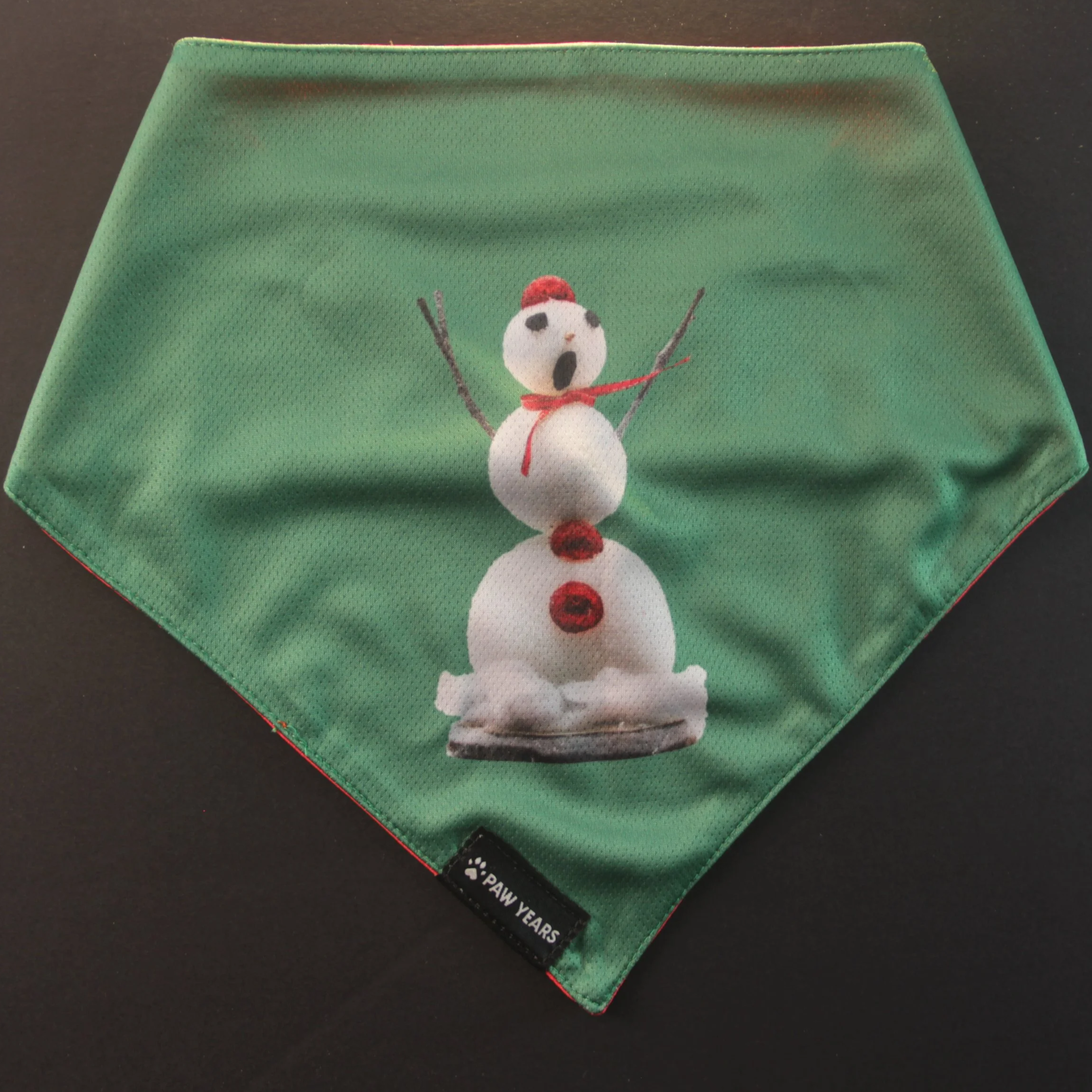 Flat lay of green winter holiday pet bandana on black background showing reversible snap buttons.