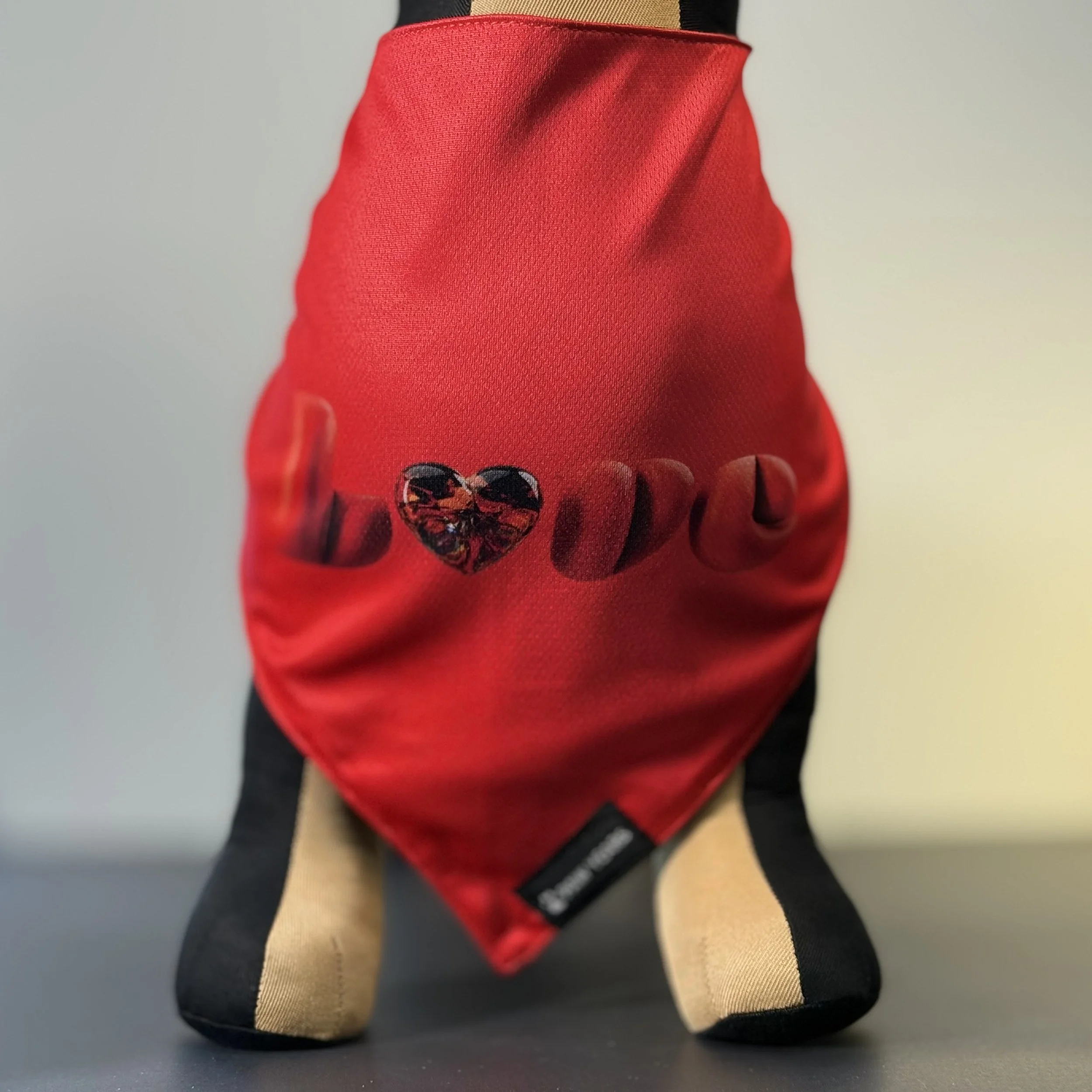 Front view of small dog wearing red limited edition Love bandana with ruby gem heart showing secure fit on chest.