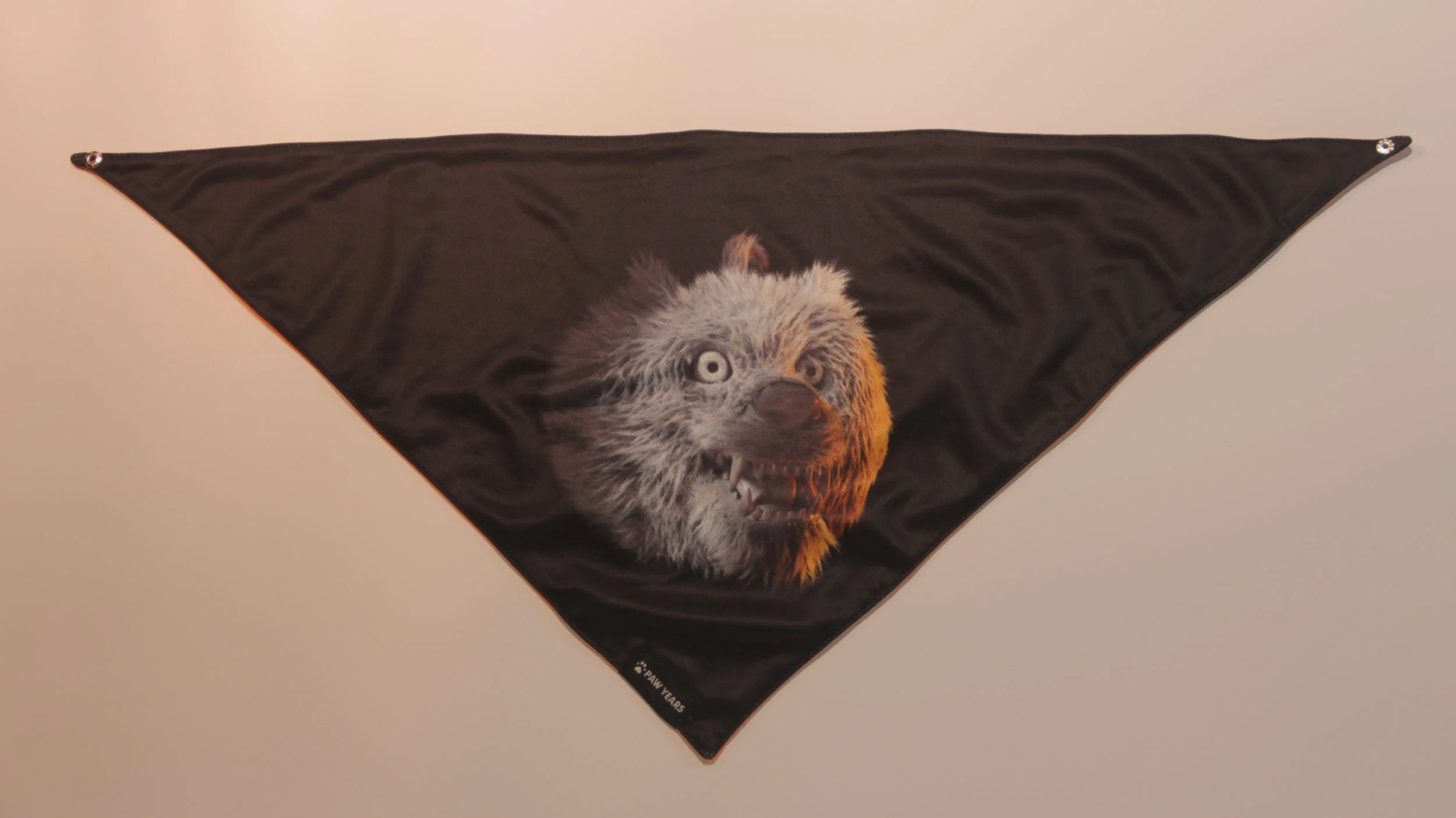 Flat lay of limited edition black wolf bandana on white background.