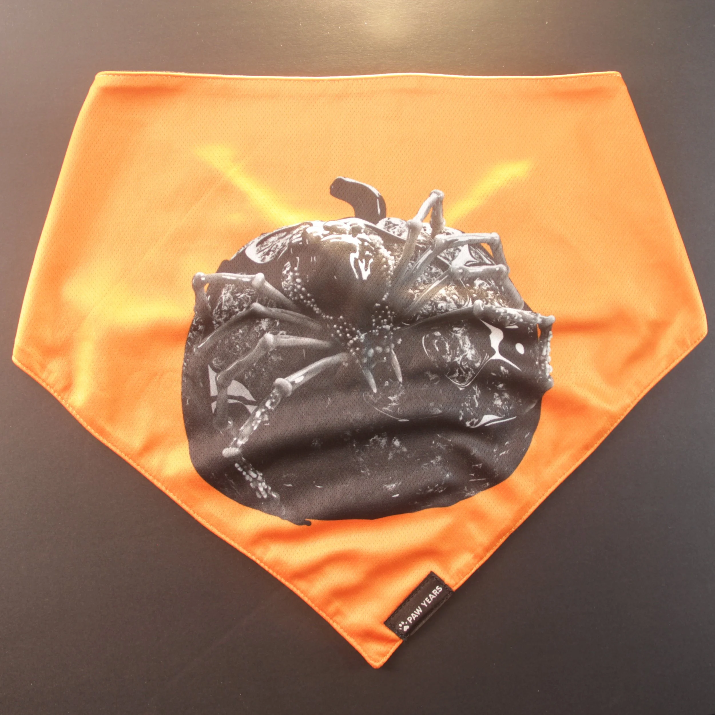 Flat lay of orange reversible bandana featuring black and white graphic spider art.