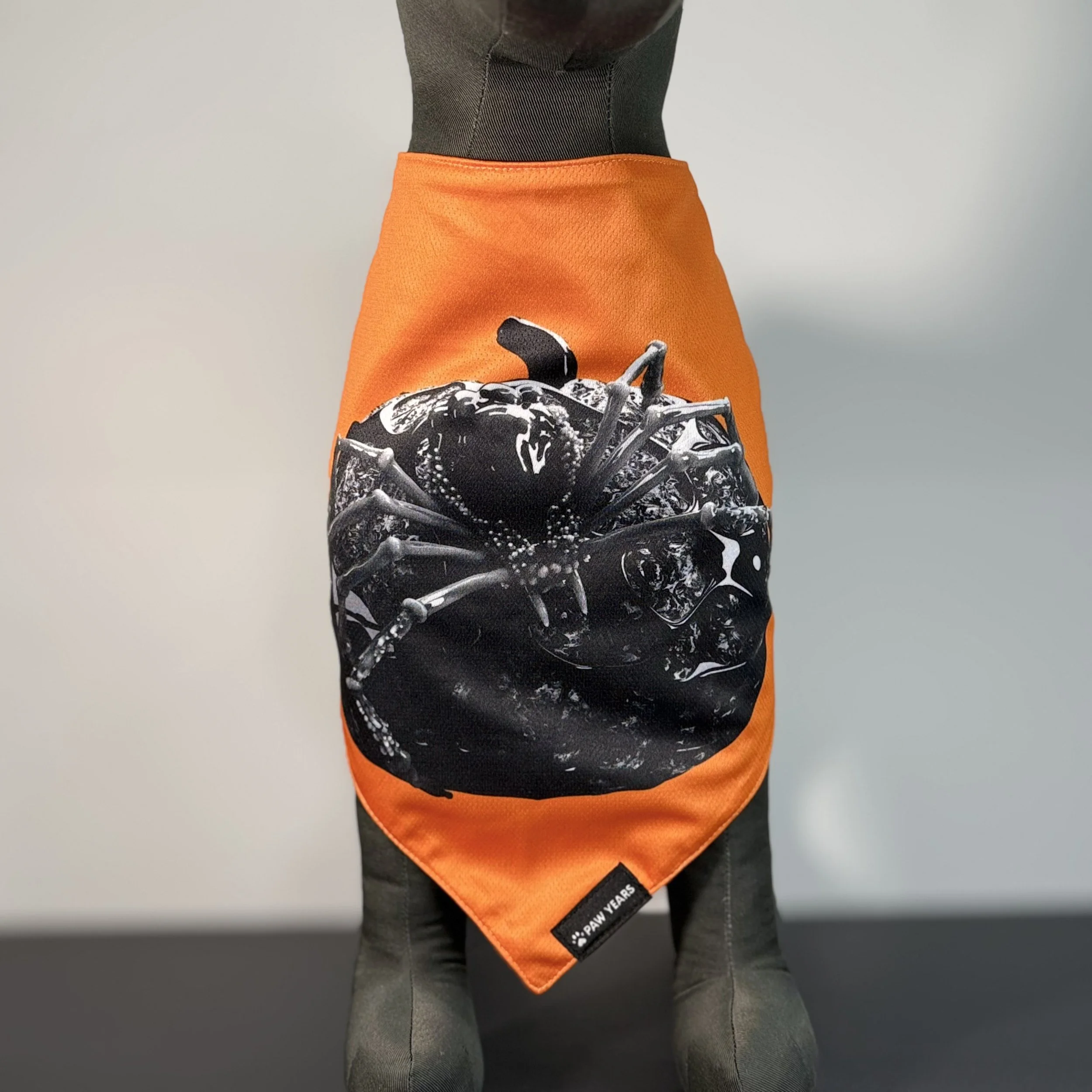 Front view of dog mannequin wearing orange Banshee bandana featuring black monochrome spider art.