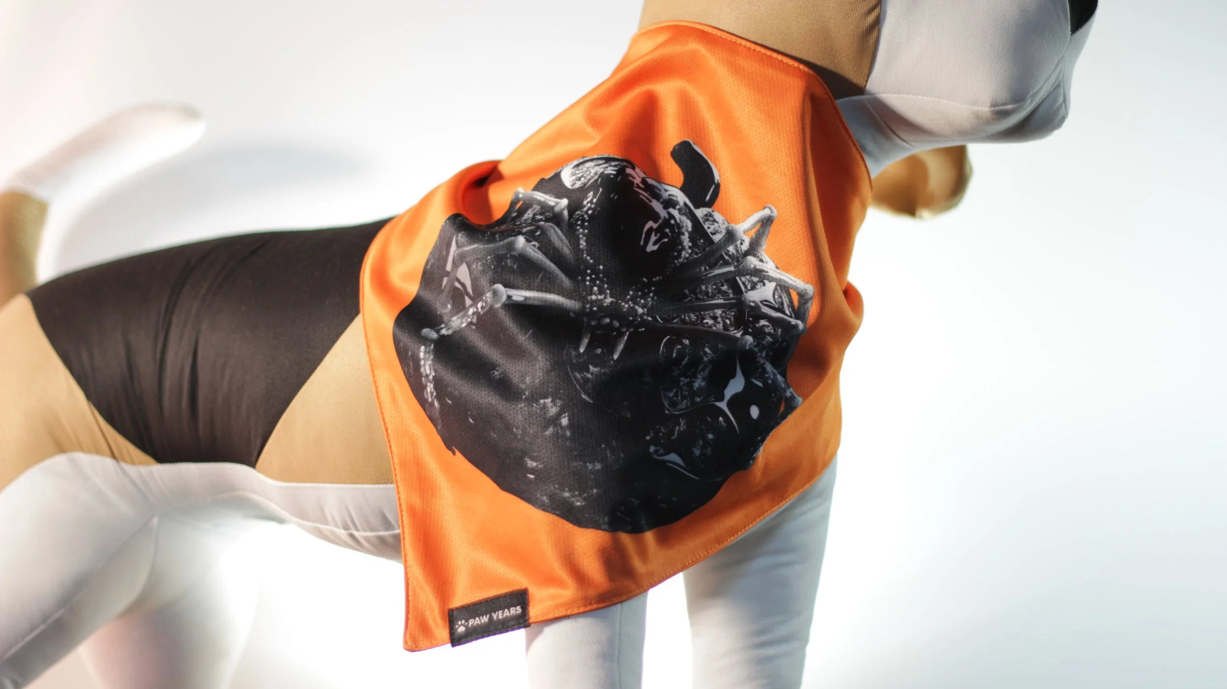 Side profile of small dog mannequin wearing the orange side of the Banshee spider bandana.
