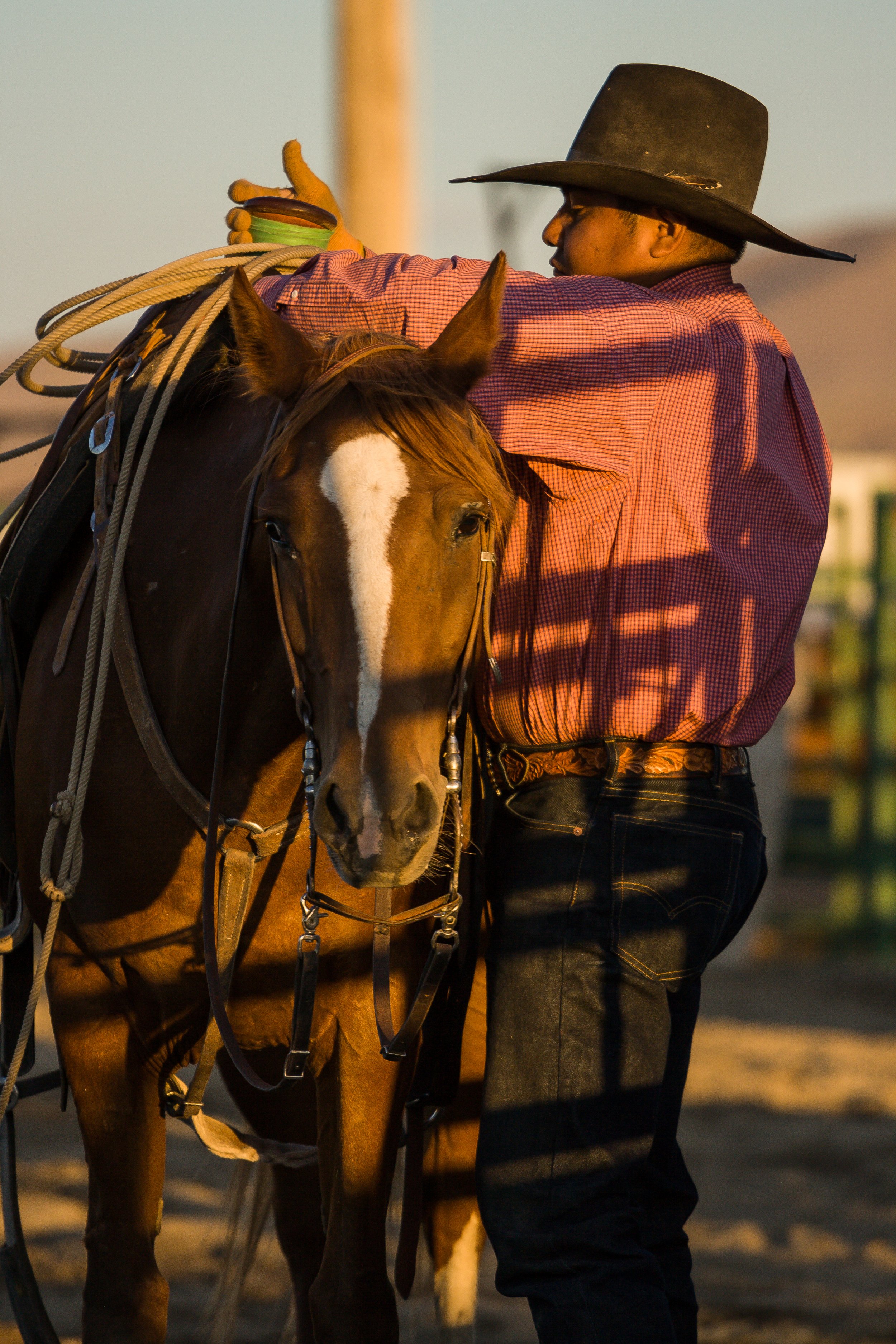 Indian Cowboy.jpg