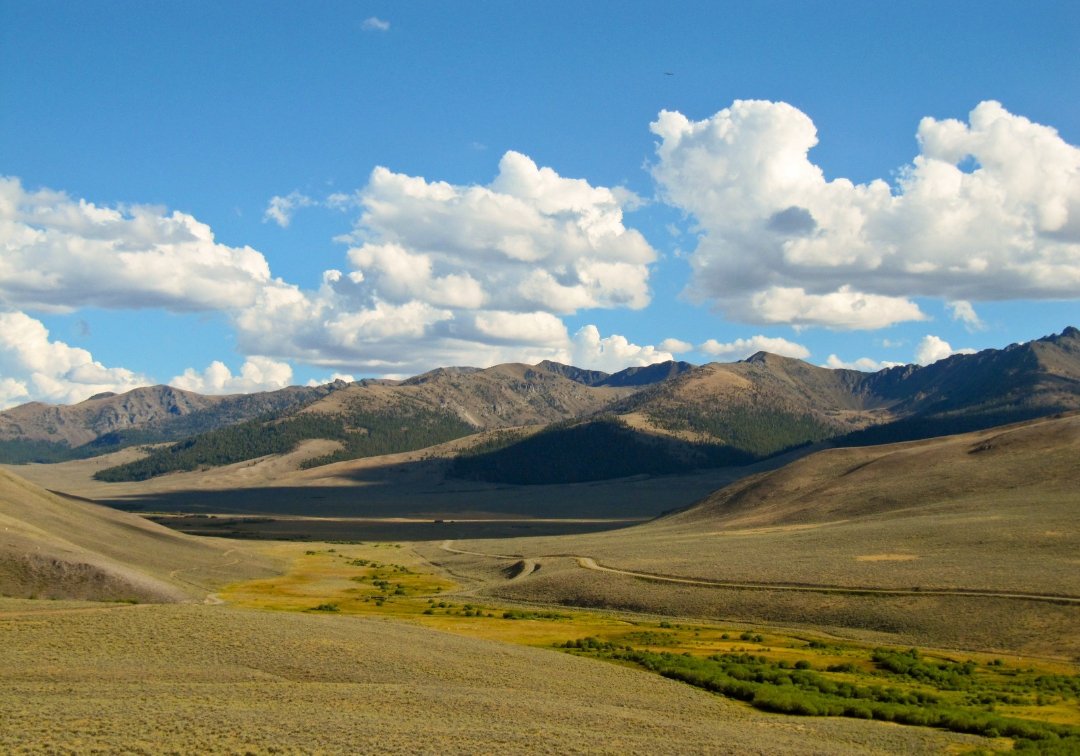 Looking for Antelope.jpg