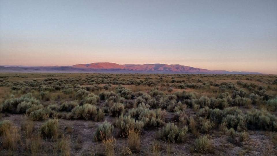 McDermitt.jpg