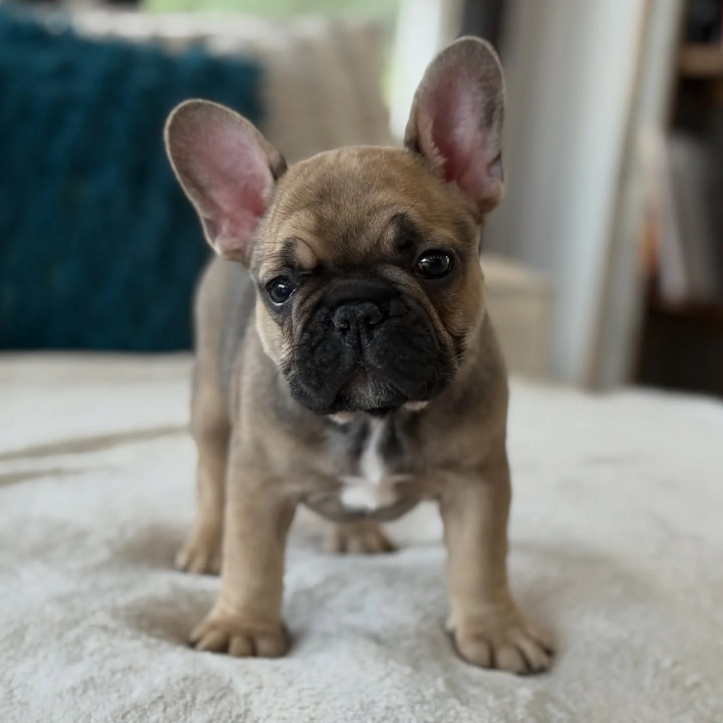 Oh boy!  Bobby you are somethin&rsquo;! #heartthrob