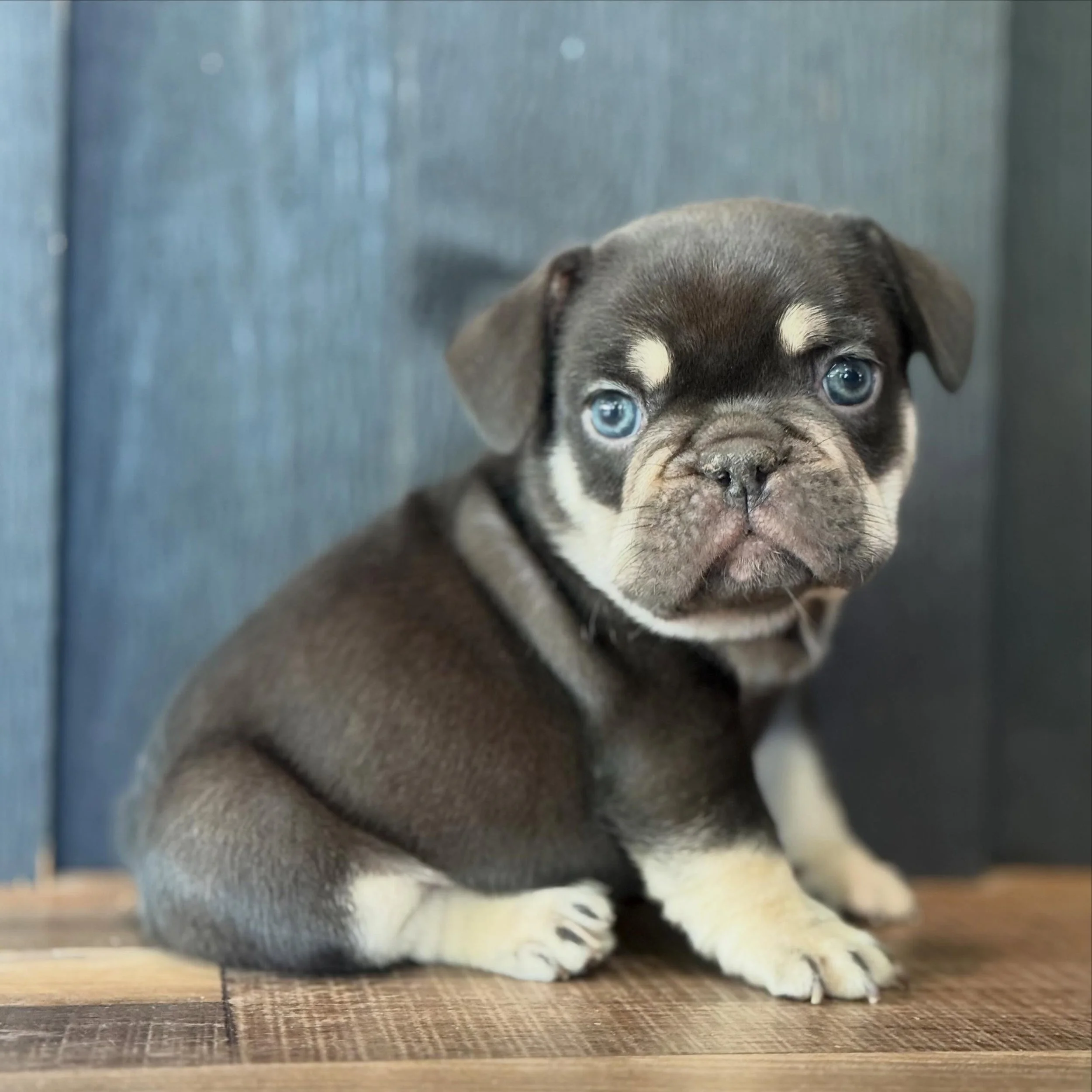 Cola 🥤#drewdogs