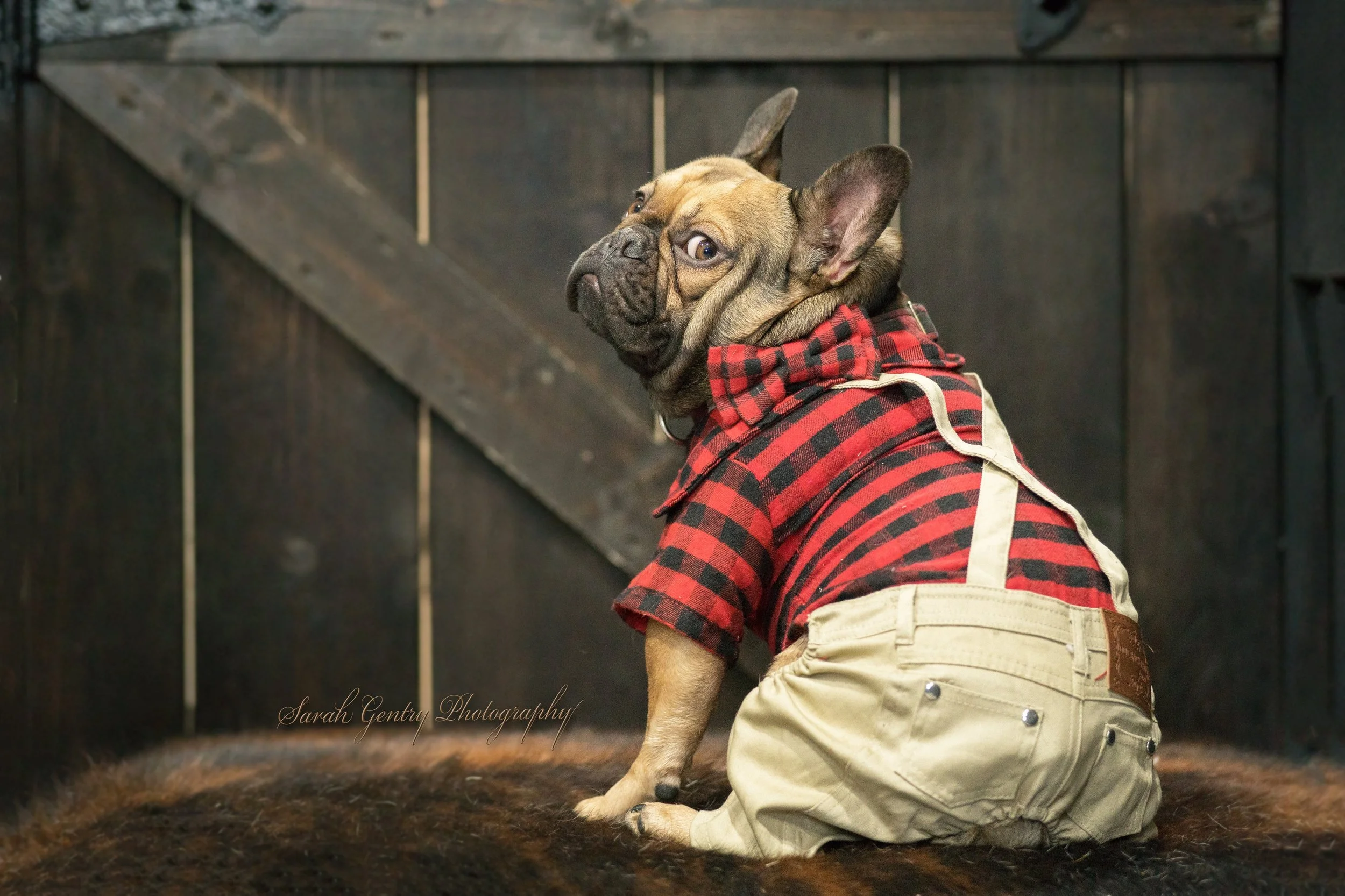 Flannel over the sholder in  pants.JPG