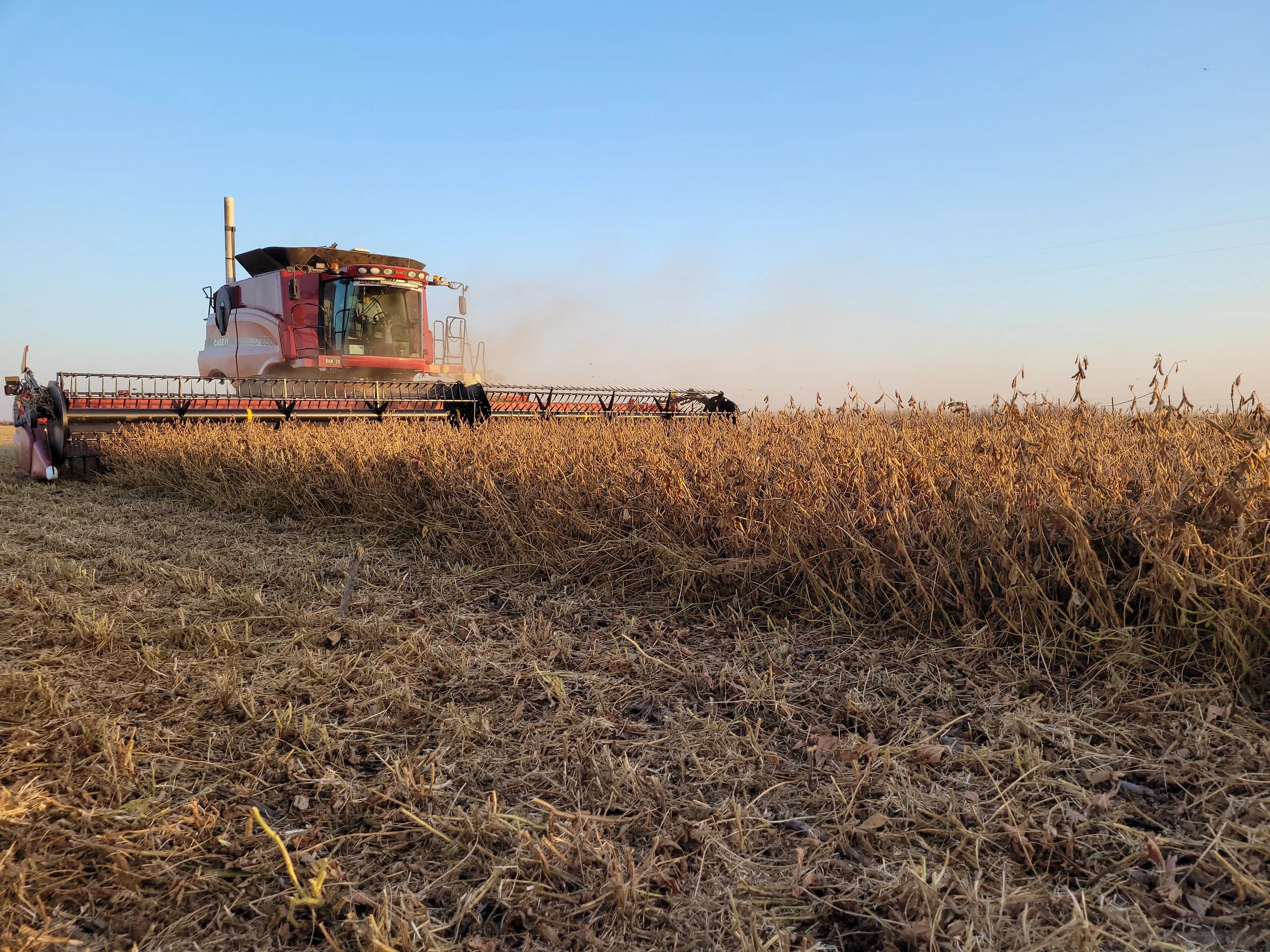 Latin America in AgTech: A High-Potential Market With Its Own Rules