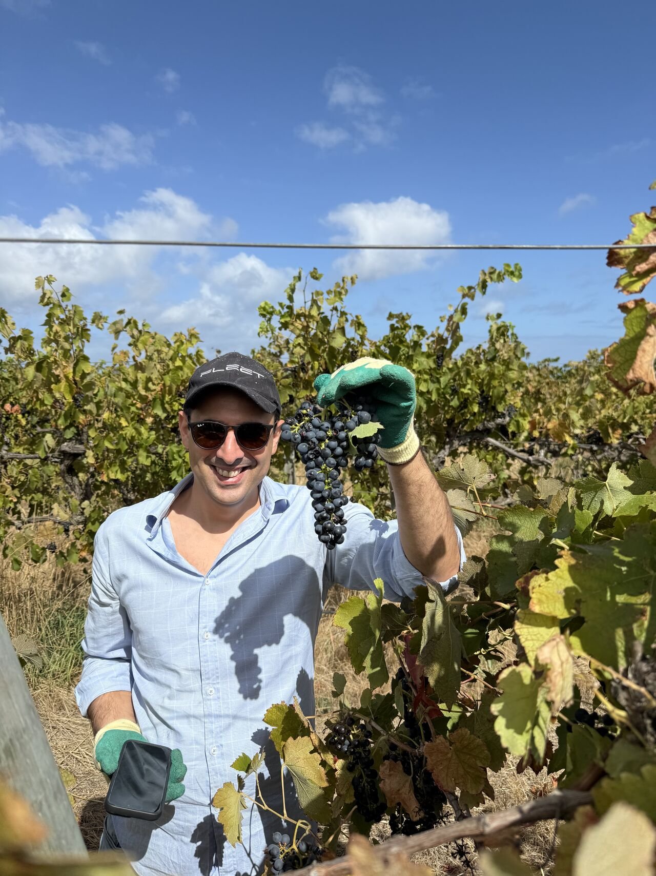 A man smiling and holding a bunch of grapes in a vineyard under a blue sky with clouds, wearing sunglasses, a cap, gloves, and a light-colored shirt.